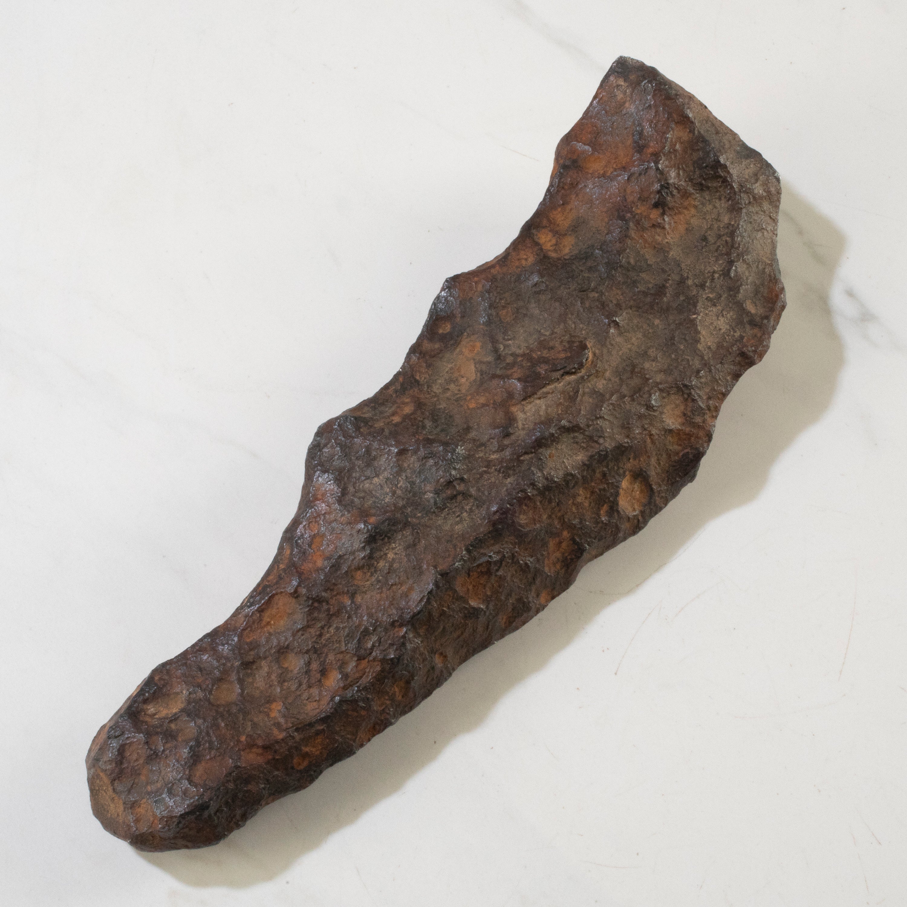 Gibeon Iron Meteorite from Namibia 10" / 2,480 grams