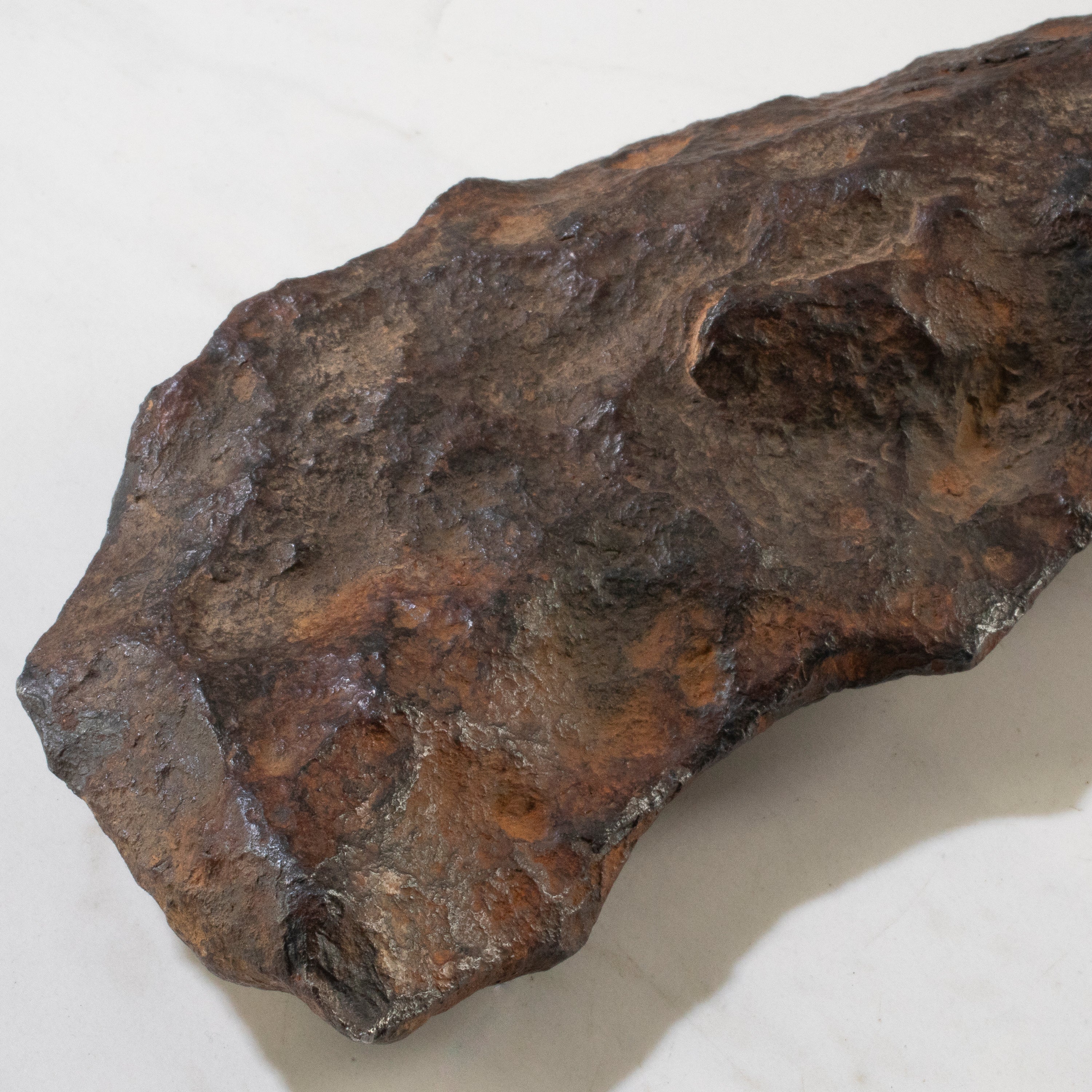 Gibeon Iron Meteorite from Namibia 10" / 2,480 grams