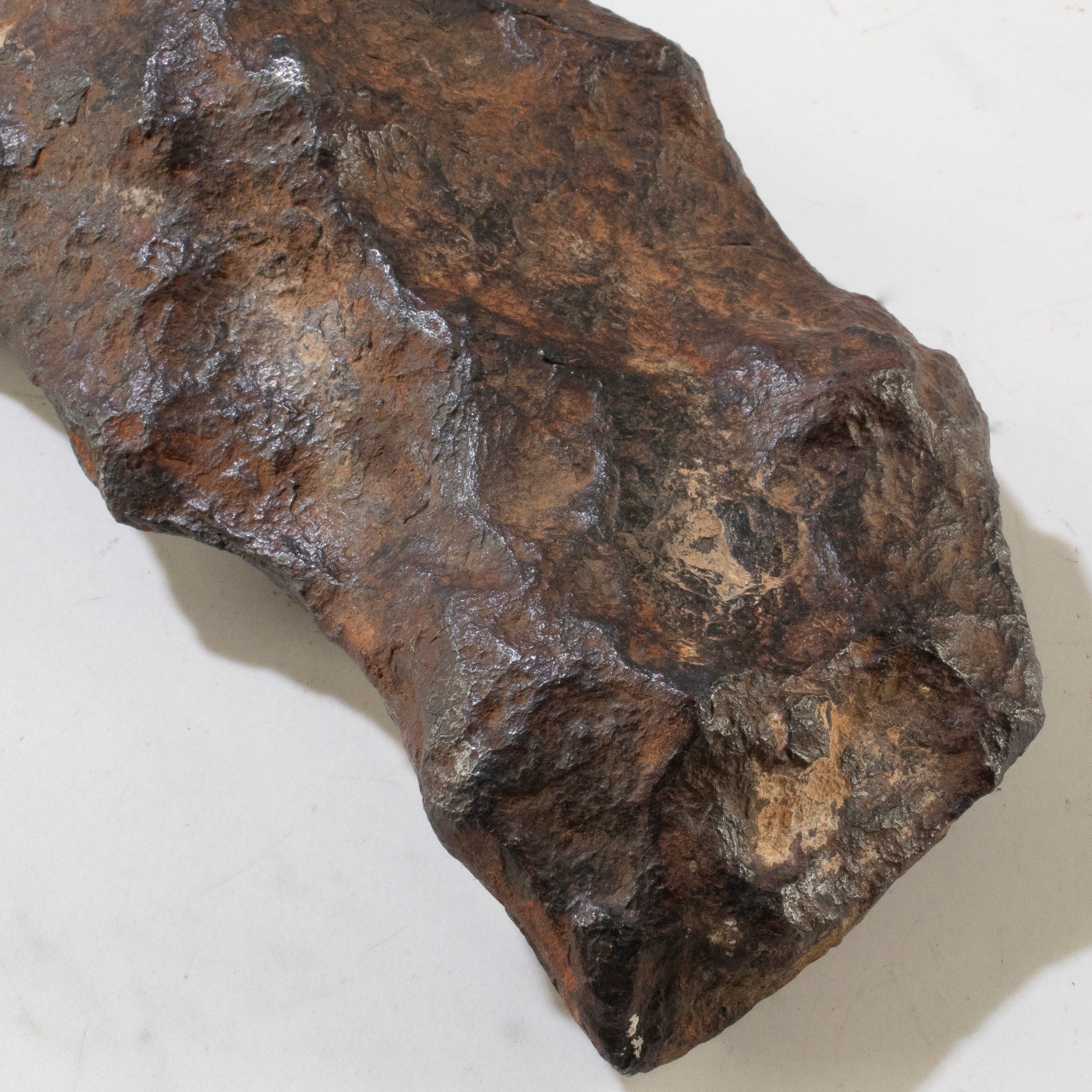 Gibeon Iron Meteorite from Namibia 10" / 2,480 grams