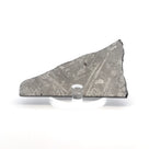 Gibeon Iron Meteorite Slice from Namibia 3.5