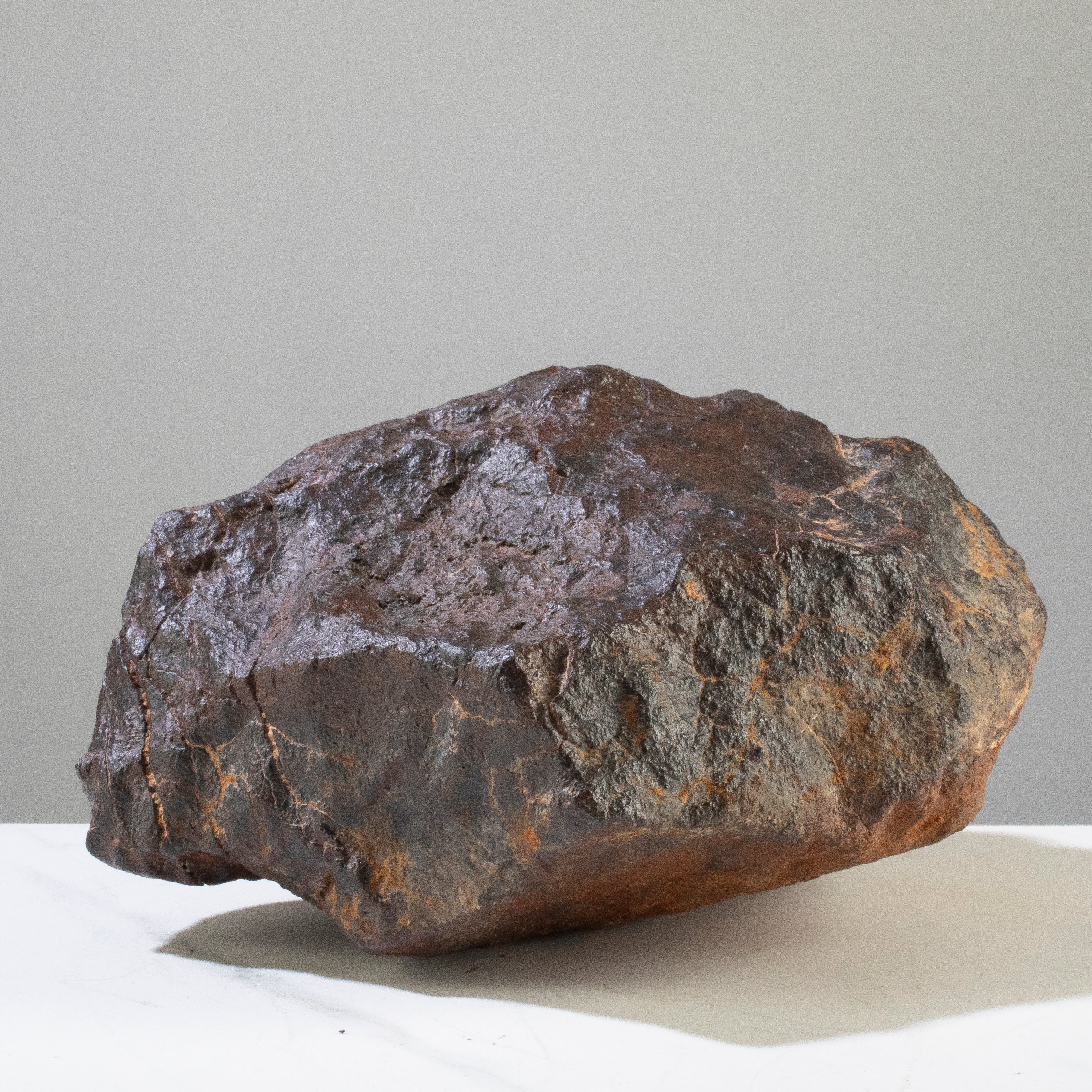 NWA (Chrondrite) Stony Meteorite from Algeria 8" / 3,760 grams