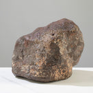 NWA (Chrondrite) Stony Meteorite from Northwest Africa 6