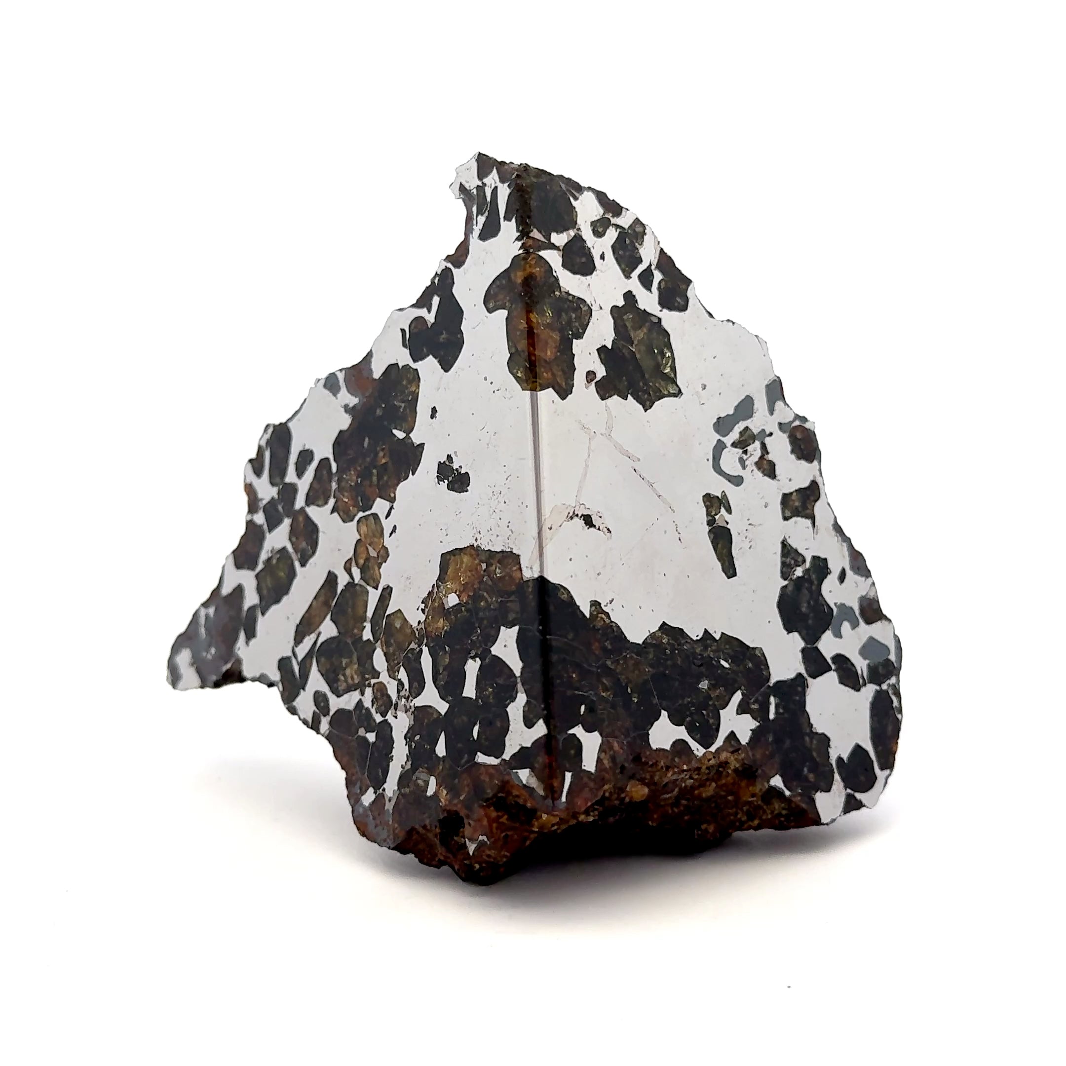 Seymchan with Pallasite Stony-iron Meteorite from Russia 3.5" / 682 grams