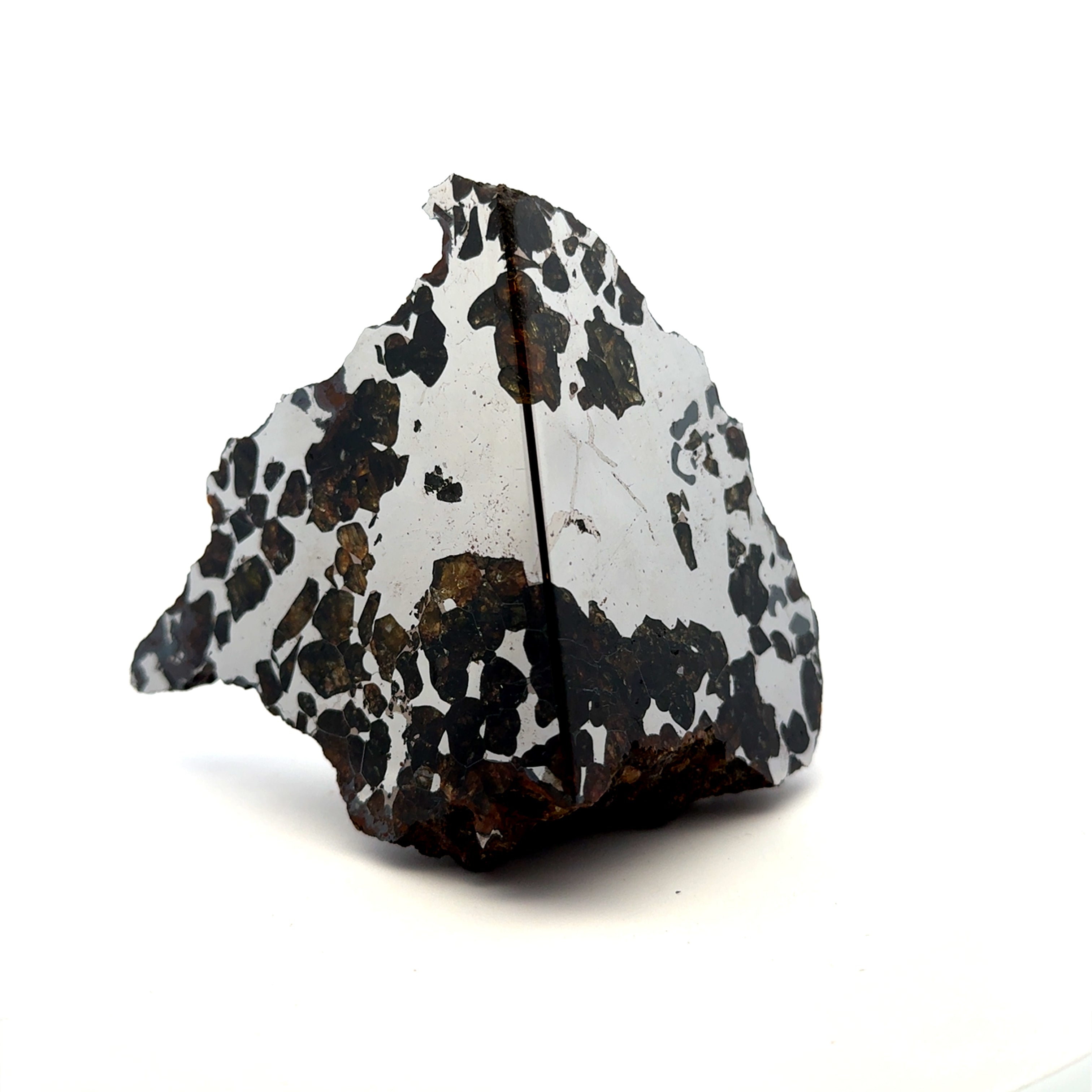 Seymchan with Pallasite Stony-iron Meteorite from Russia 3.5" / 682 grams