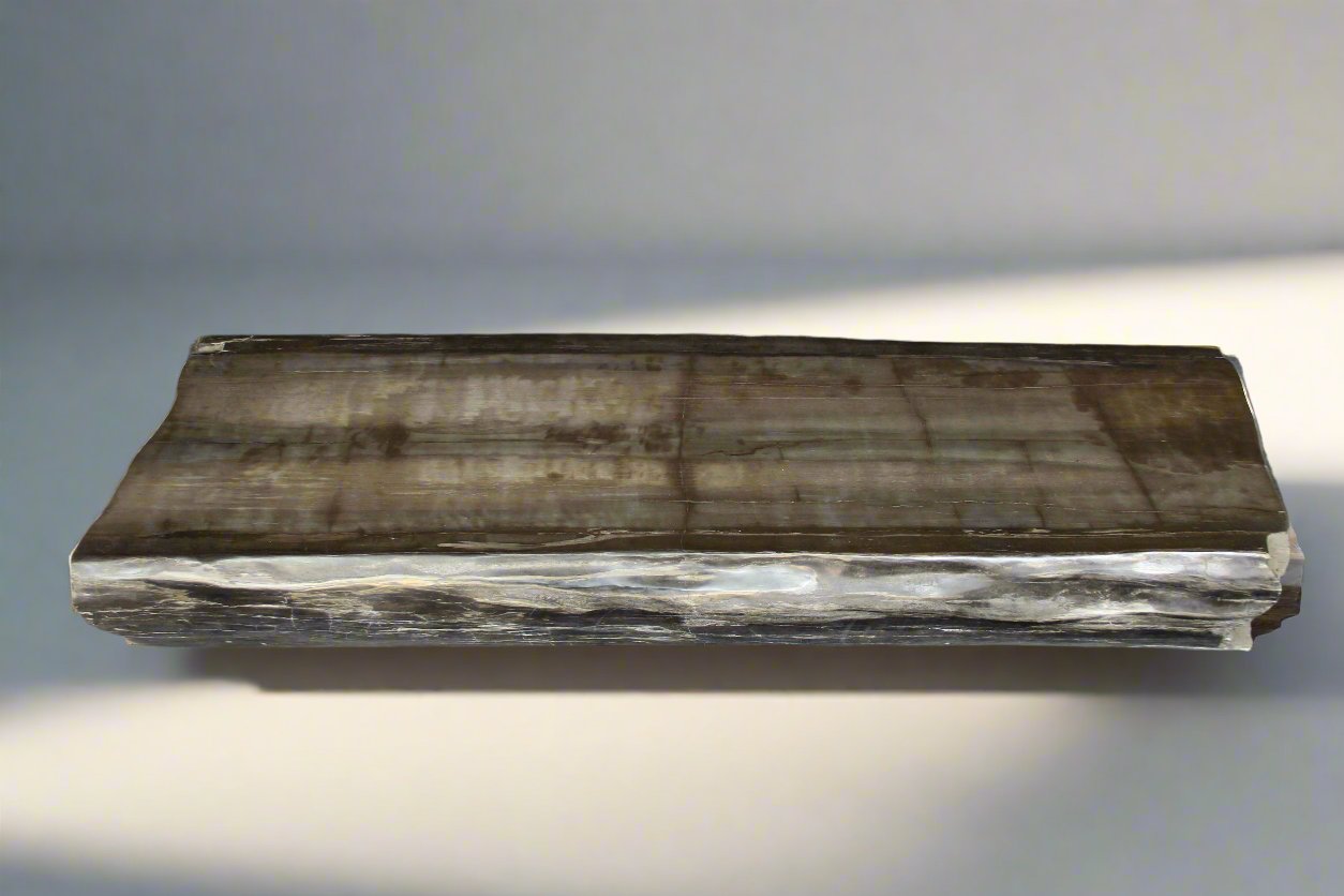 Petrified Wood Bench 93" / 3,080lbs