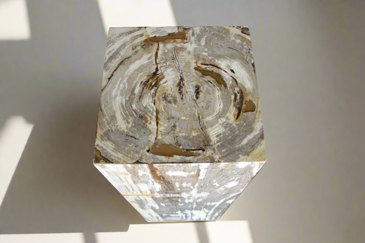 Petrified Wood Hollow Square Padestal 39" / 178lbs