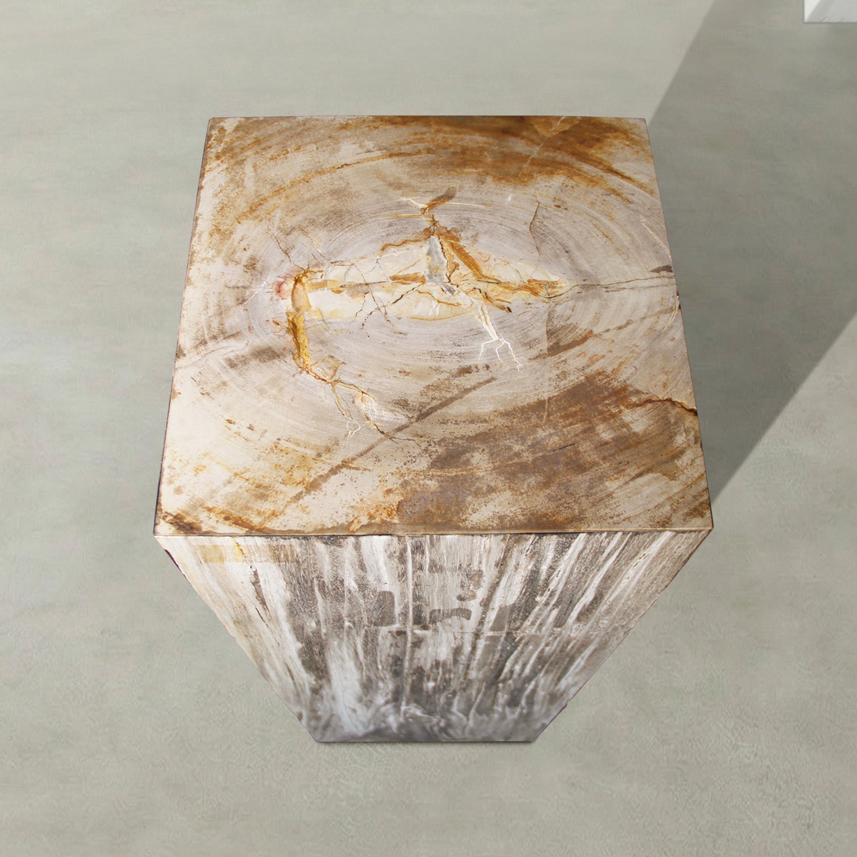 Natural Petrified Wood Hollow Square Pedestal from Indonesia - 39" / 177 lbs