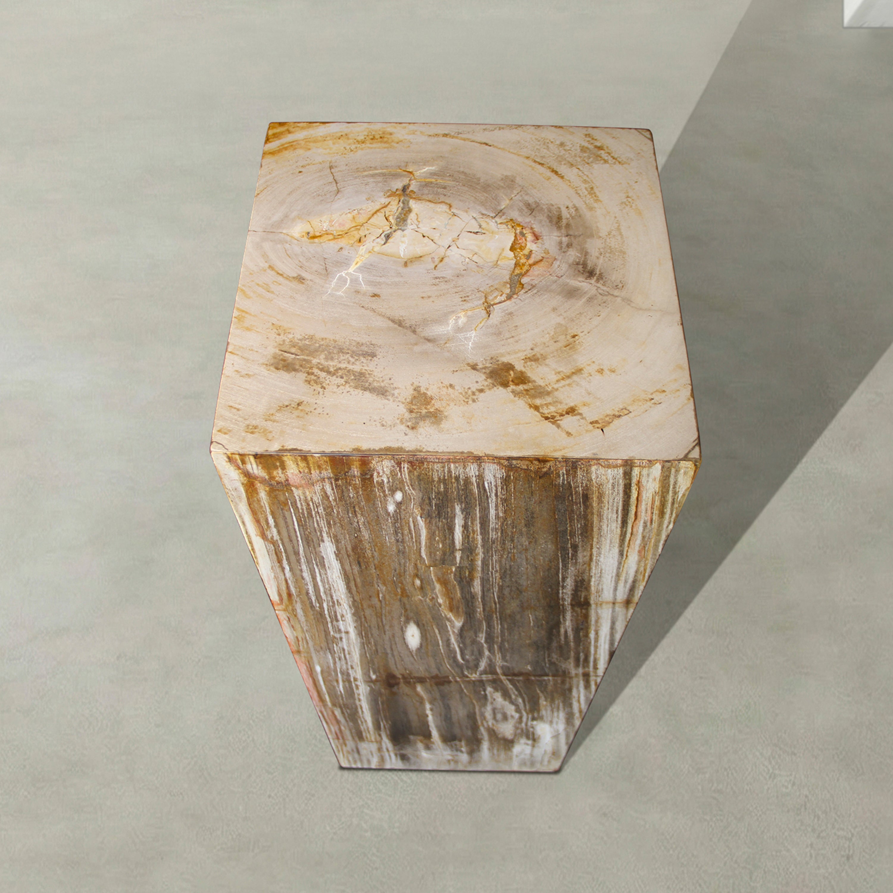 Natural Petrified Wood Hollow Square Pedestal from Indonesia - 39" / 177 lbs
