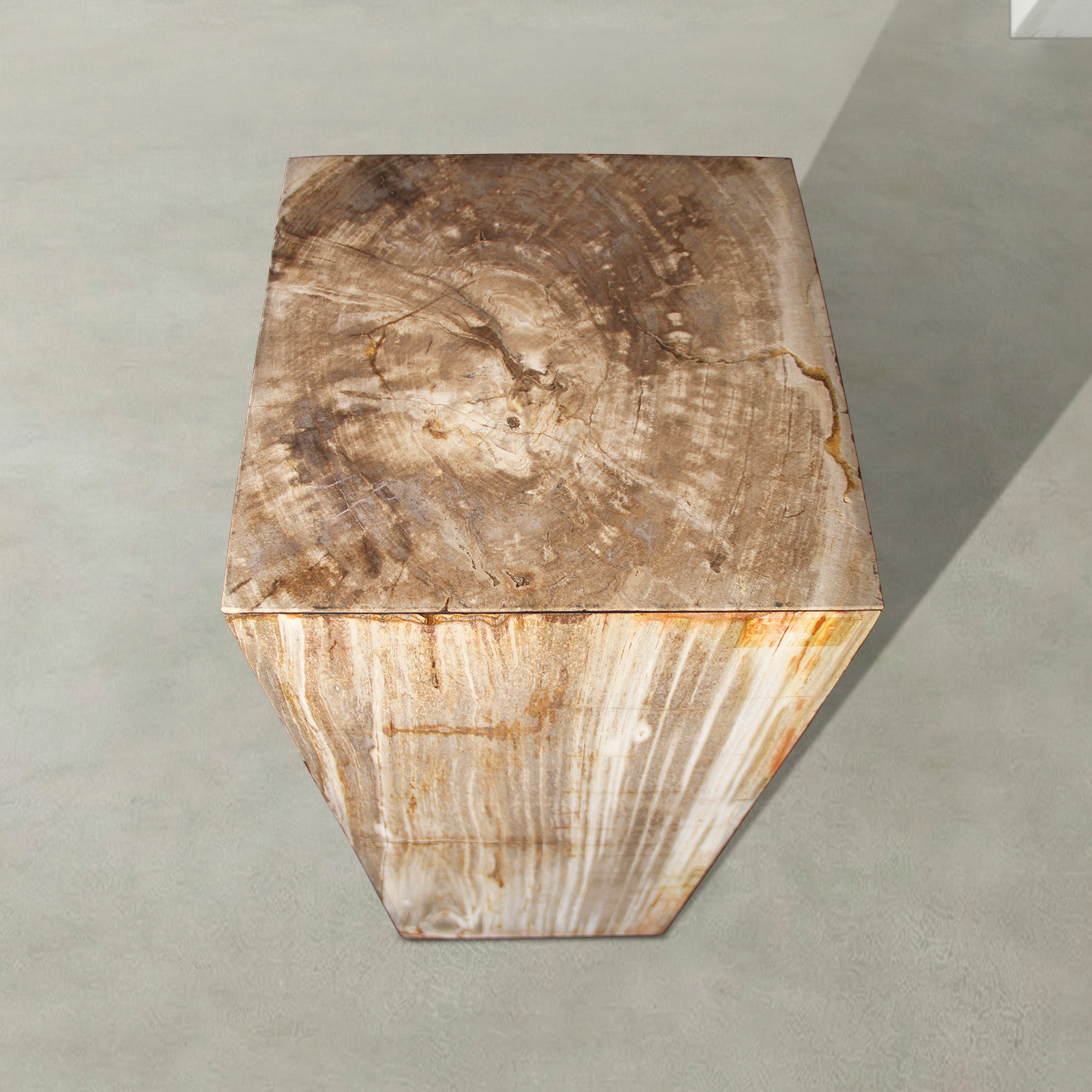 Natural Petrified Wood Hollow Square Pedestal from Indonesia - 39" / 177 lbs