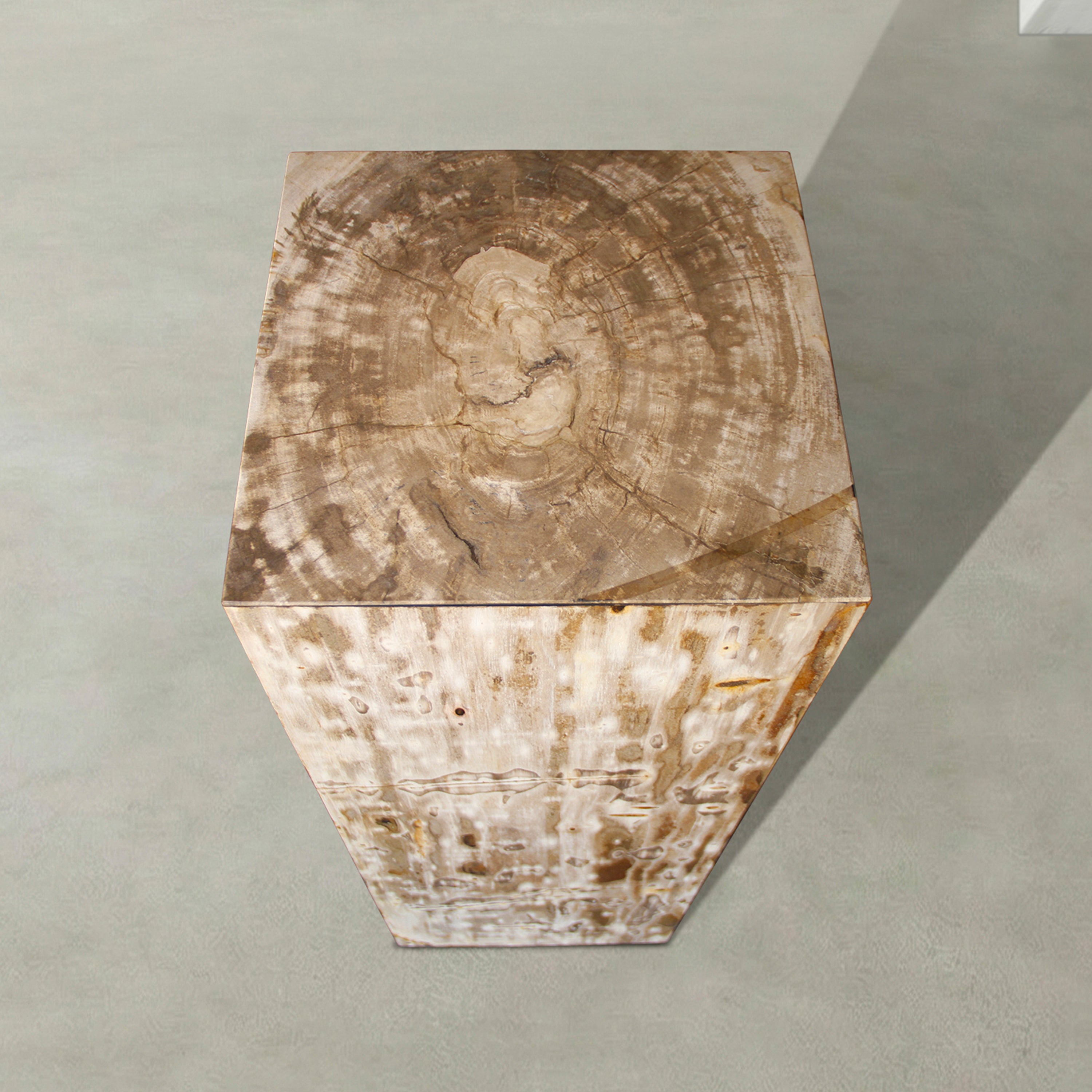 Natural Petrified Wood Hollow Square Pedestal from Indonesia - 39" / 177 lbs
