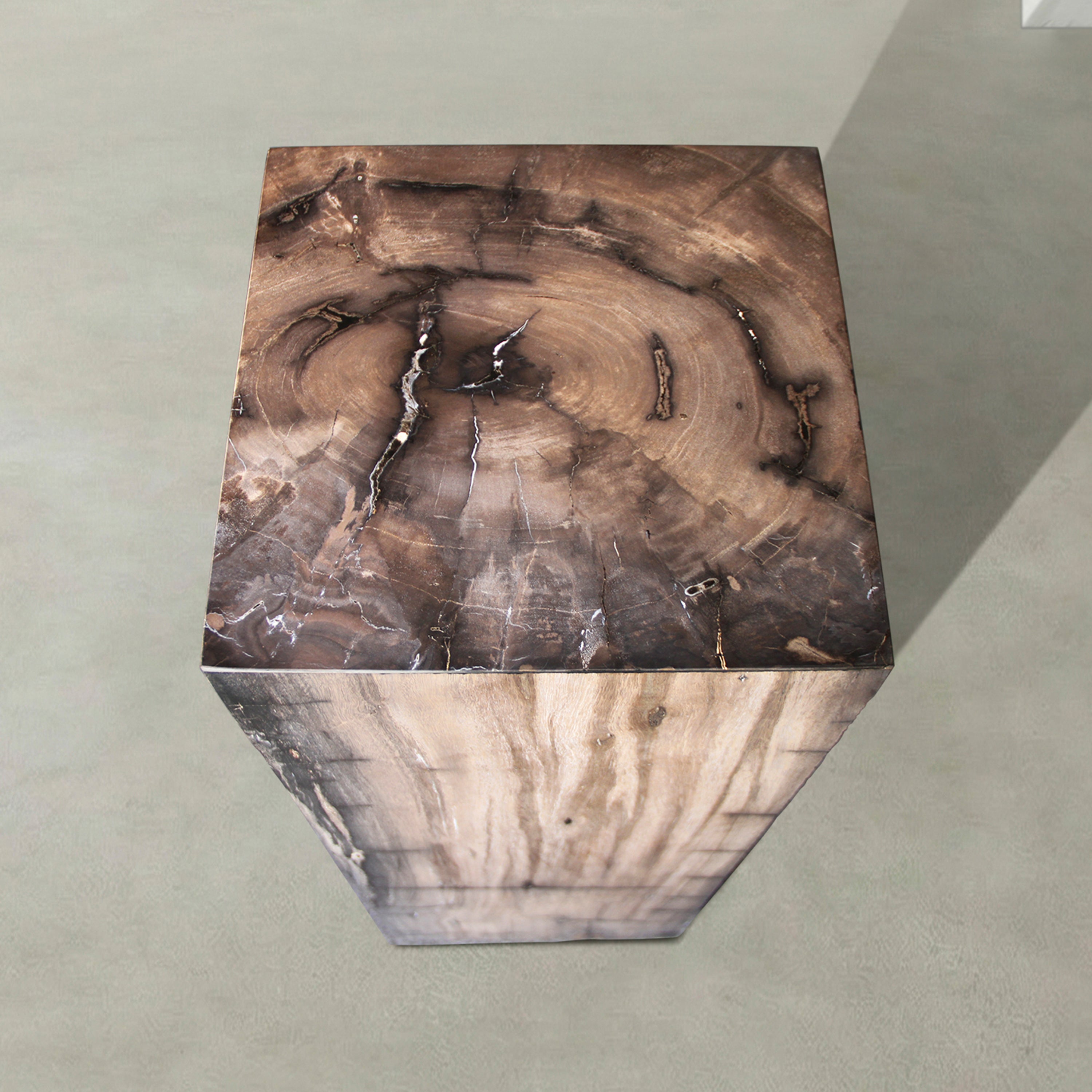 Natural Petrified Wood Hollow Square Pedestal from Indonesia - 39" / 177 lbs