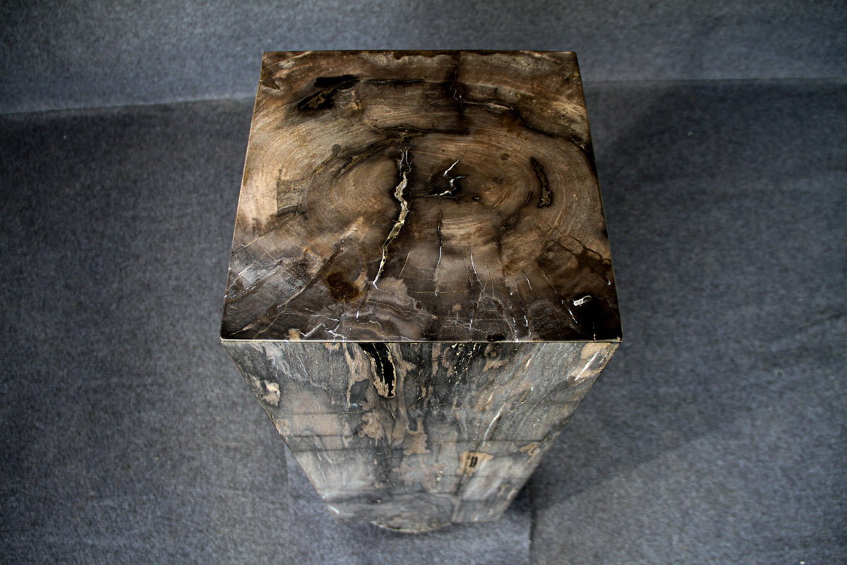 39" Natural Petrified Wood Hollow Square Pedestal from Indonesia