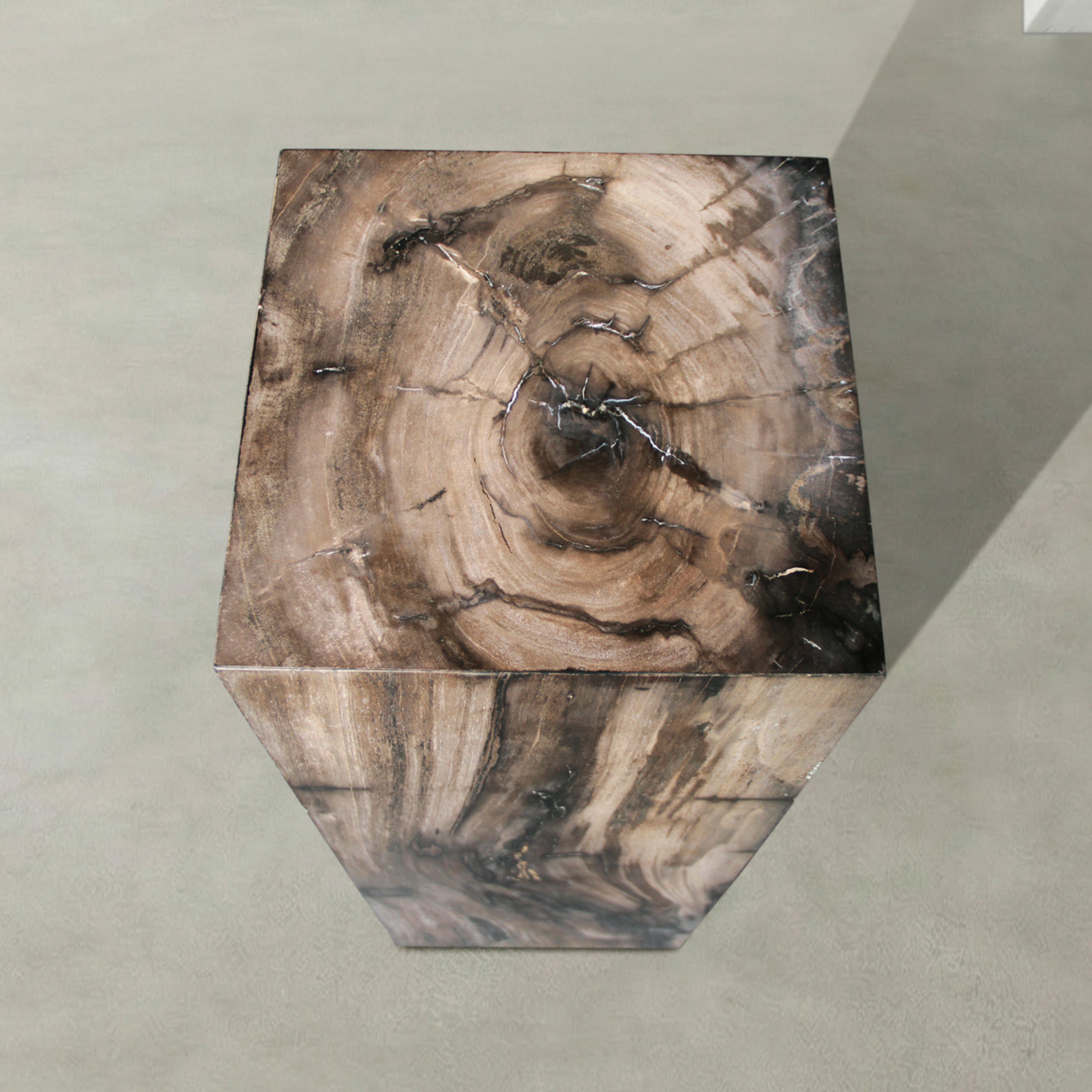 Natural Petrified Wood Hollow Square Pedestal from Indonesia - 39" / 192 lbs