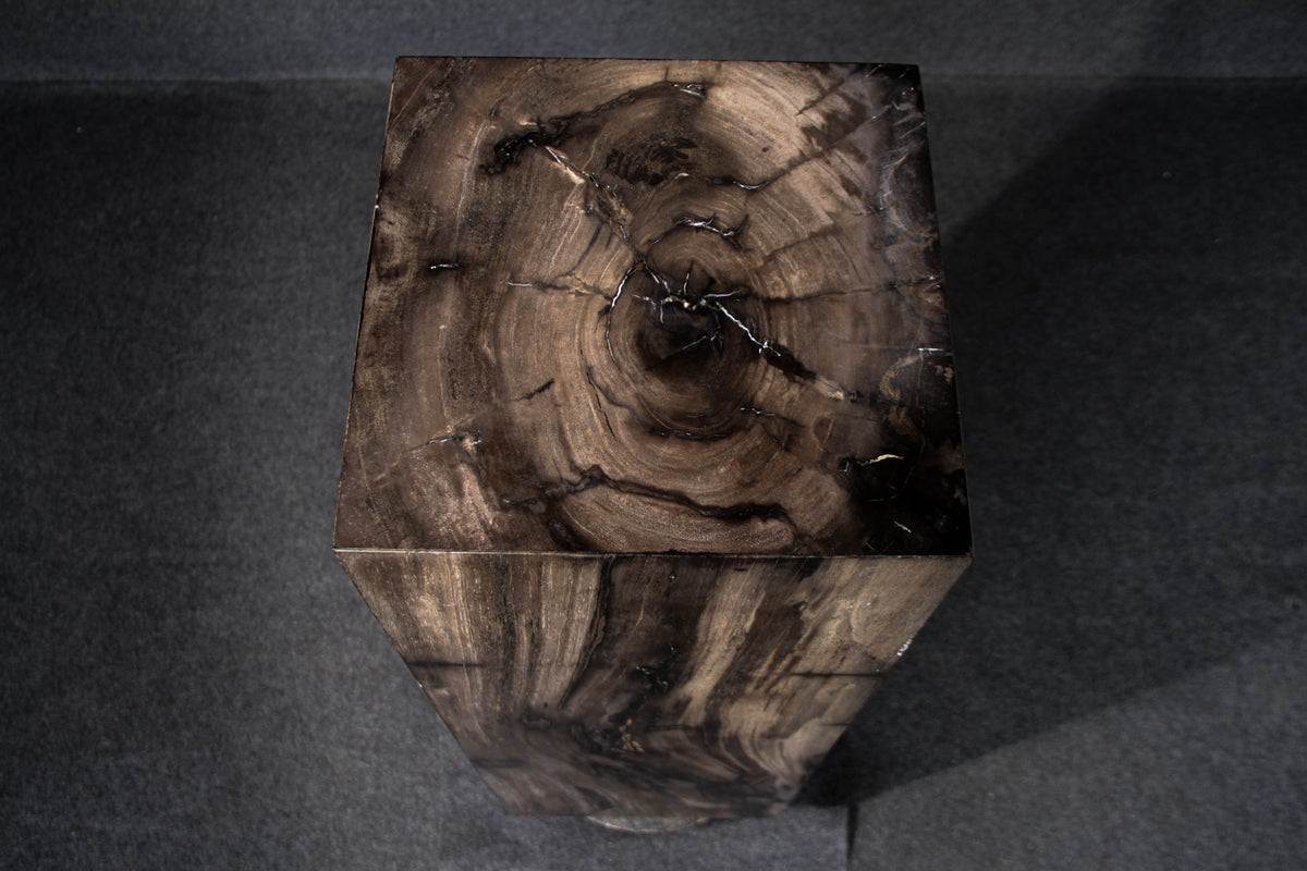 39" Natural Petrified Wood Hollow Square Pedestal from Indonesia