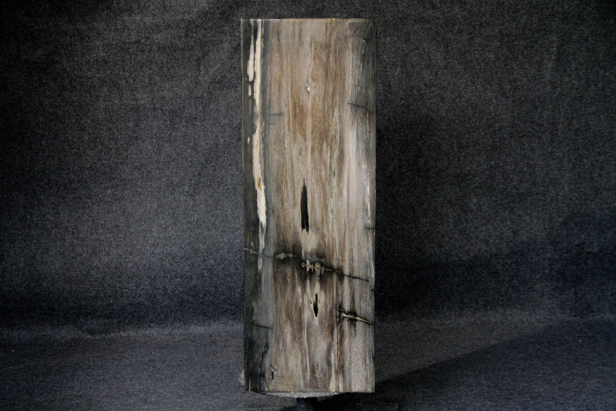 39" Natural Petrified Wood Hollow Square Pedestal from Indonesia
