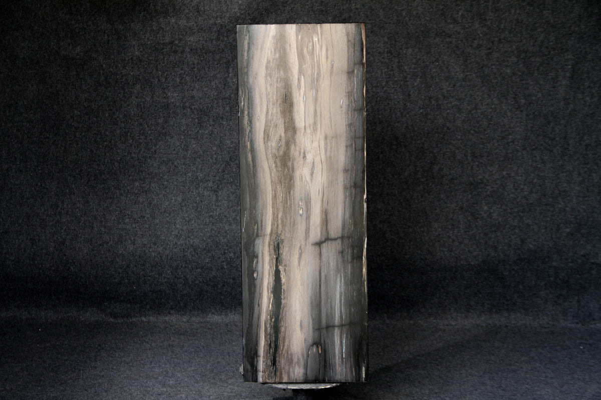 39" Natural Petrified Wood Hollow Square Pedestal from Indonesia