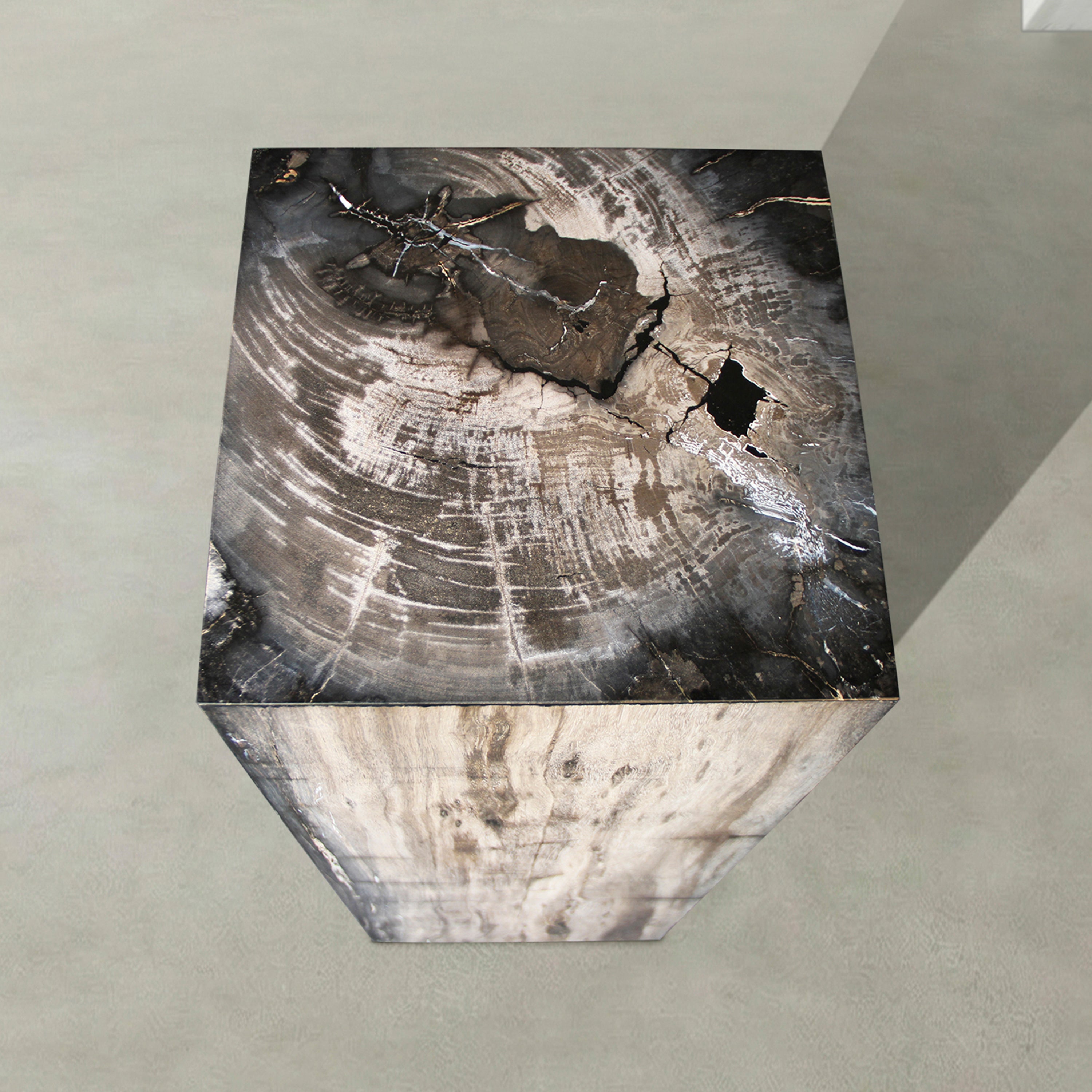 Natural Petrified Wood Hollow Square Pedestal from Indonesia - 39" / 174 lbs