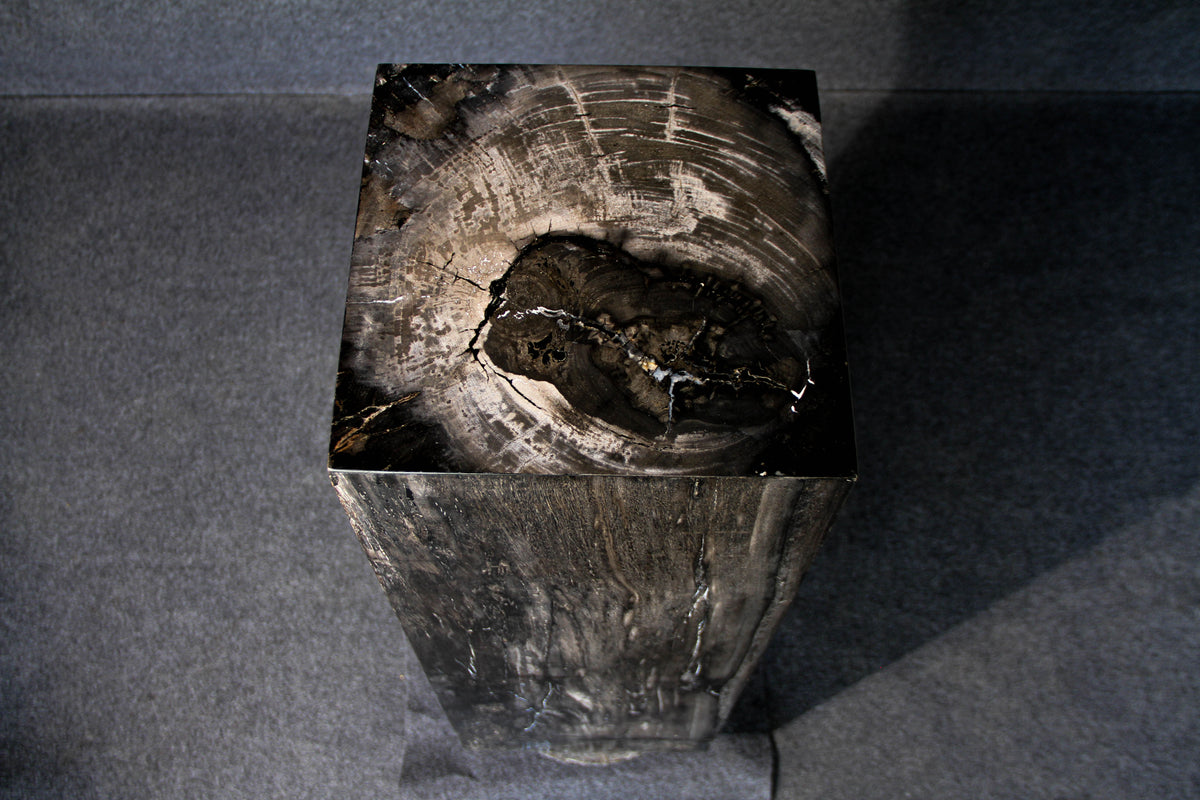 39" Natural Petrified Wood Hollow Square Pedestal from Indonesia