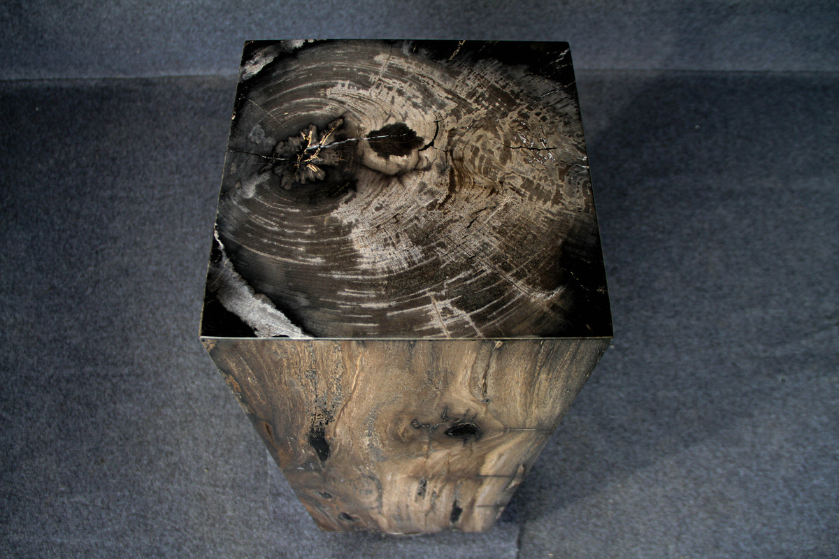 39" Natural Petrified Wood Hollow Square Pedestal from Indonesia