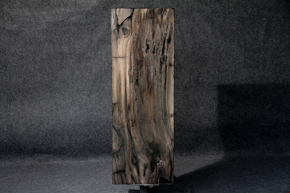 39" Natural Petrified Wood Hollow Square Pedestal from Indonesia