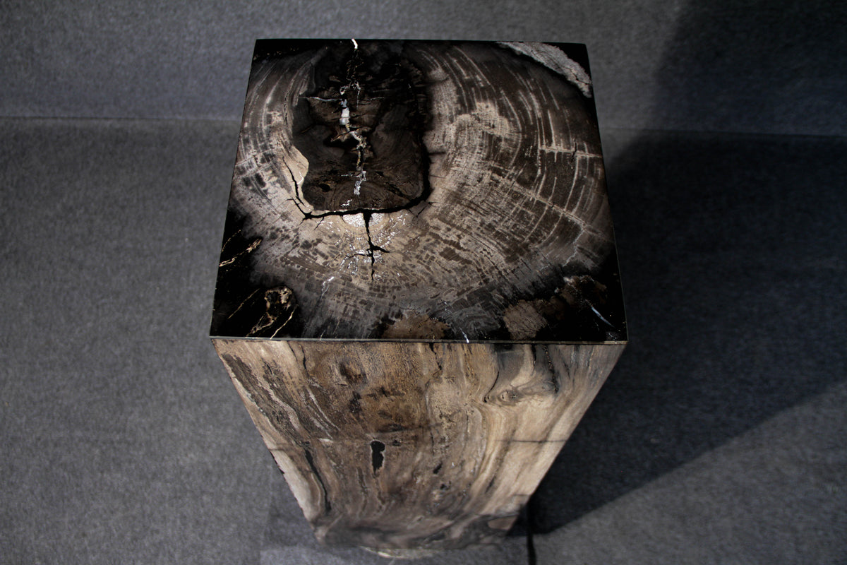 39" Natural Petrified Wood Hollow Square Pedestal from Indonesia