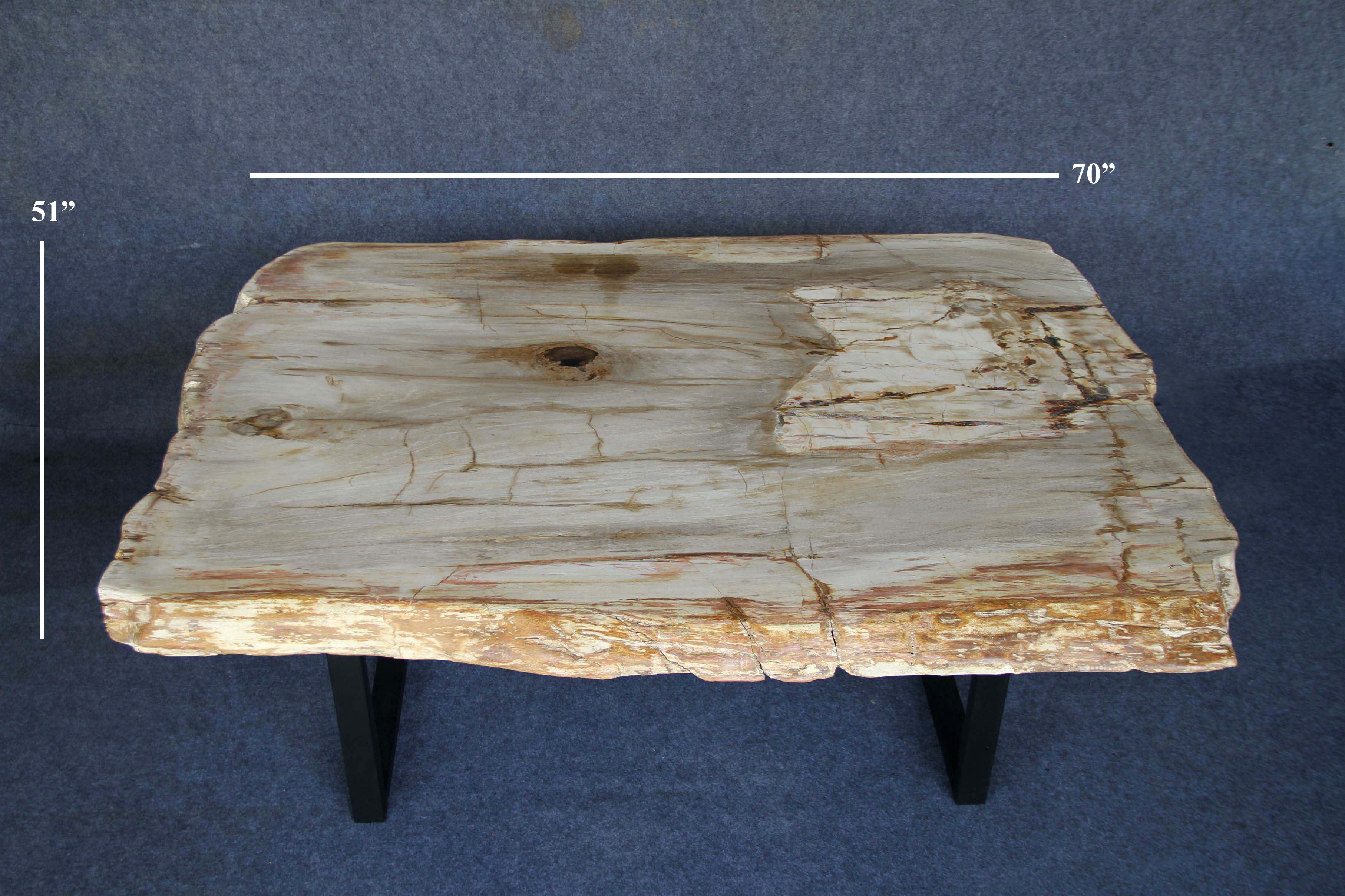 Petrified Wood Console Table 70" / 759 lbs