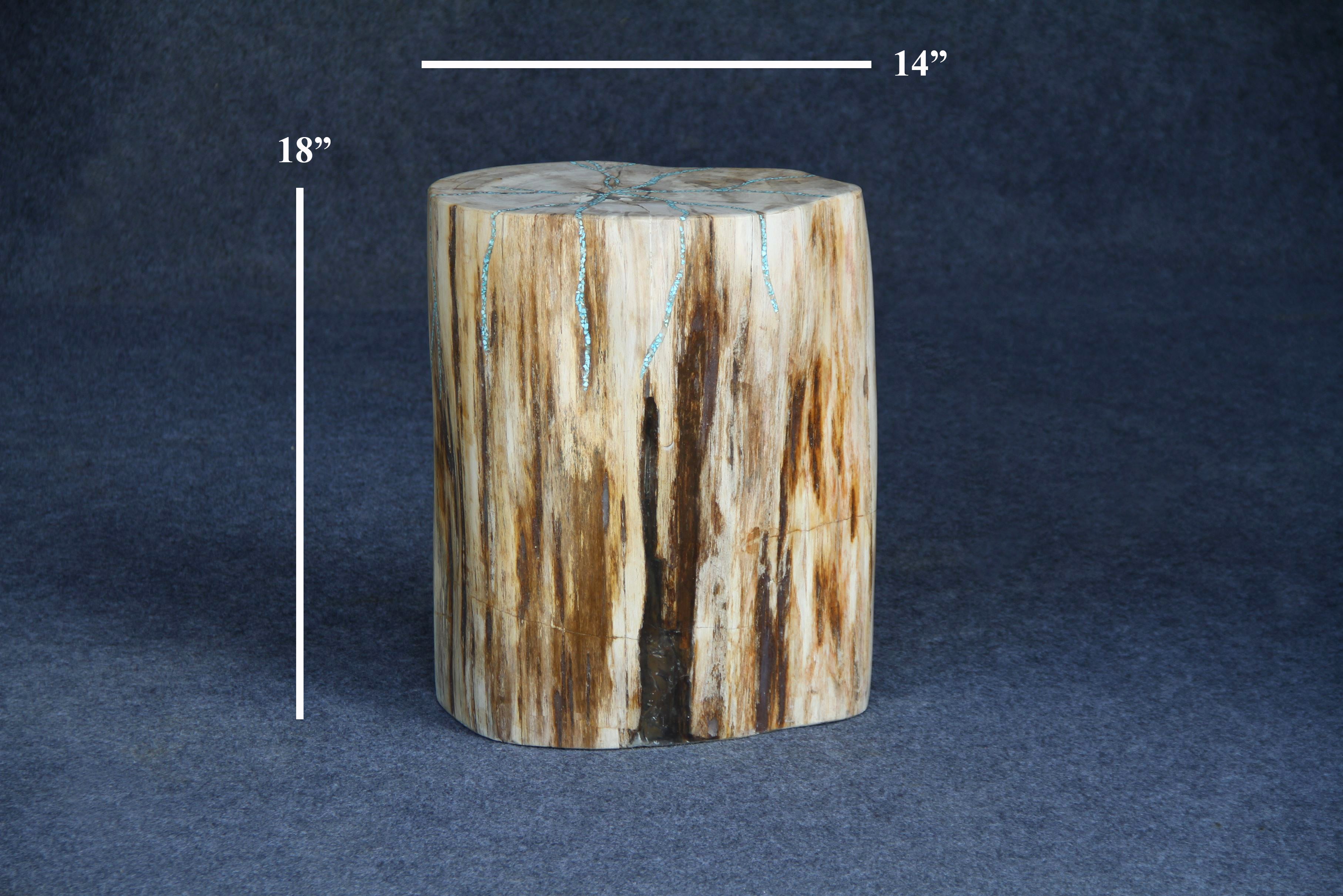 Petrified Wood Round Stump 14" / 165 lbs