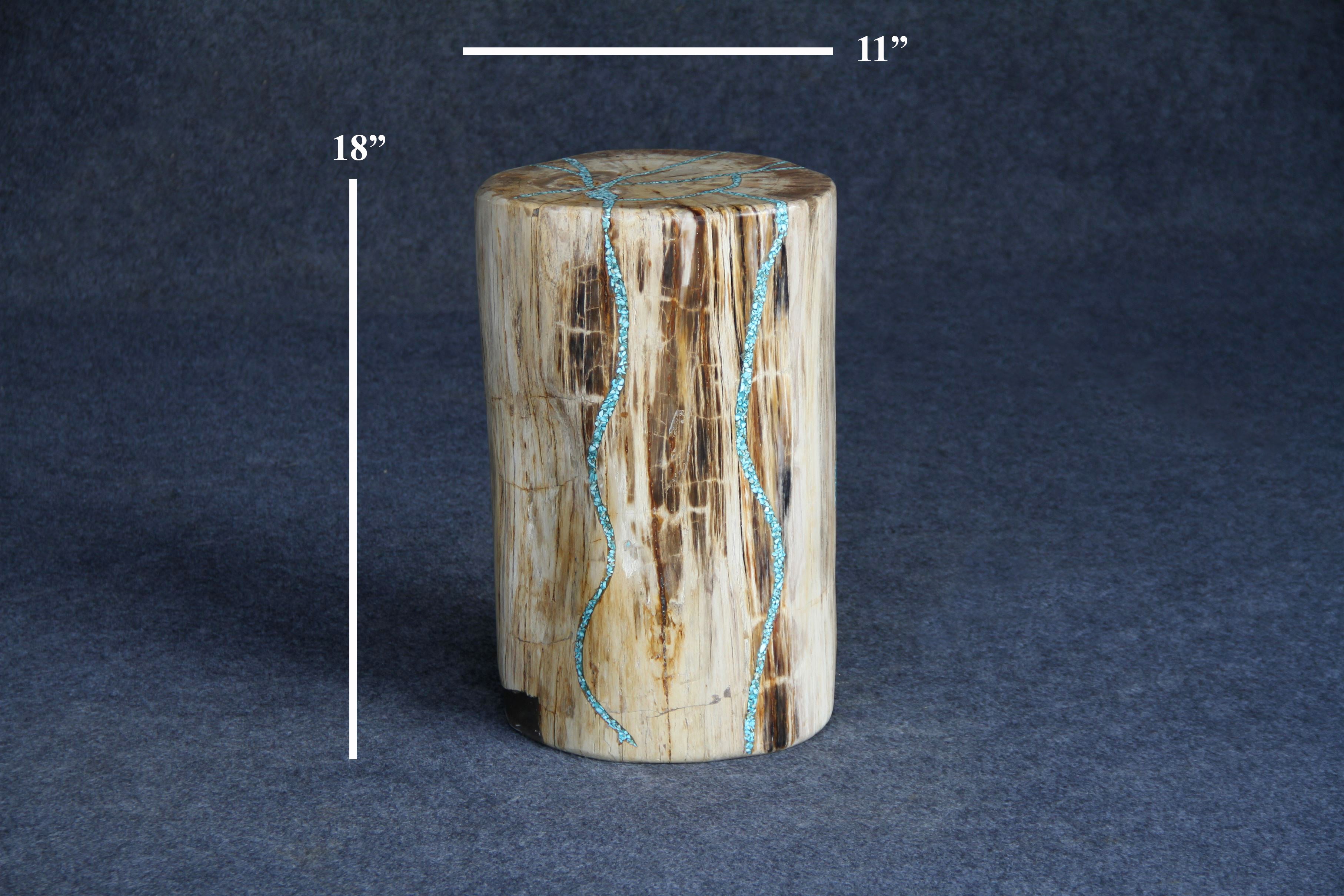 Petrified Wood Round Stump 11" / 110 lbs