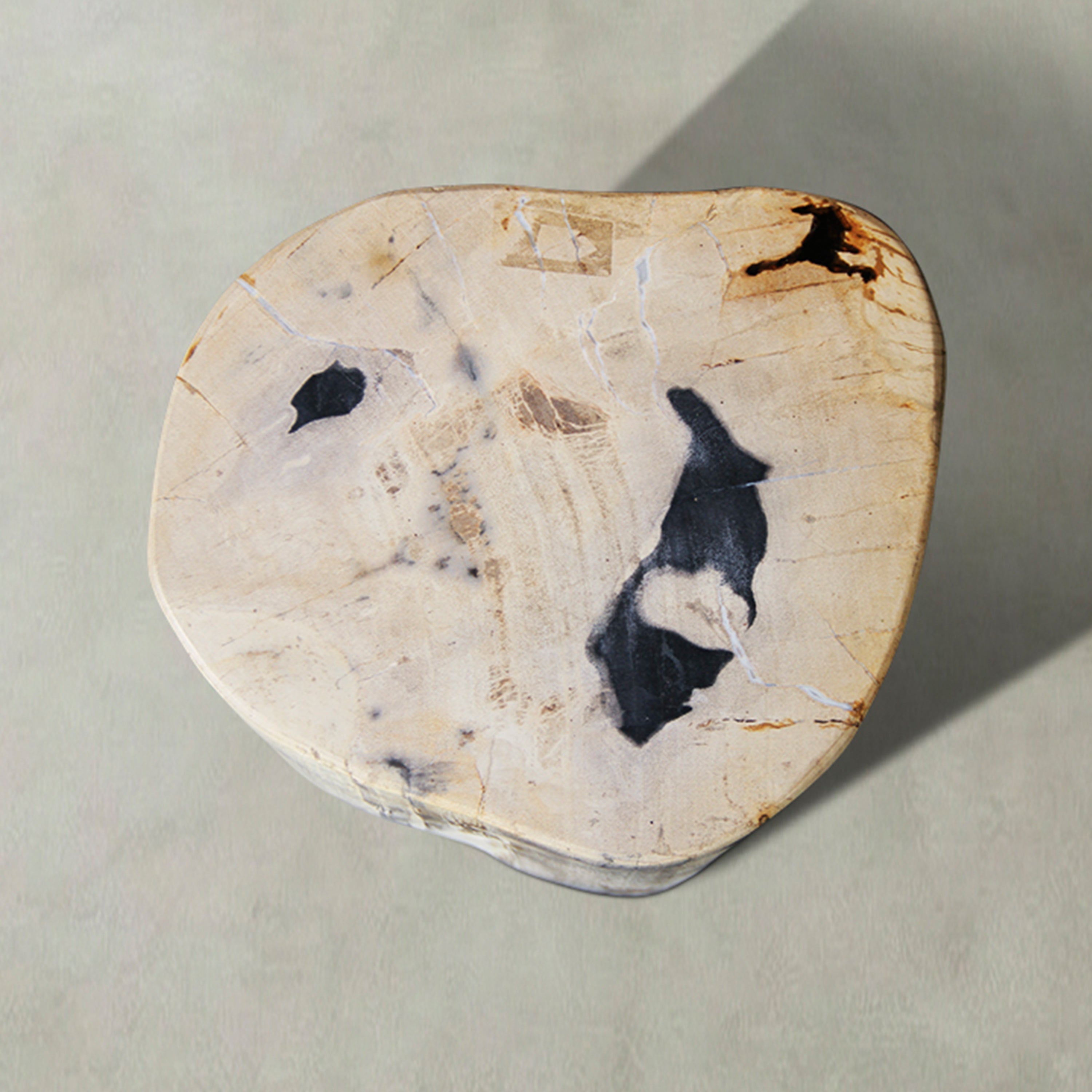 Natural Polished Petrified Wood Stool from Indonesia - 18" / 128 lbs
