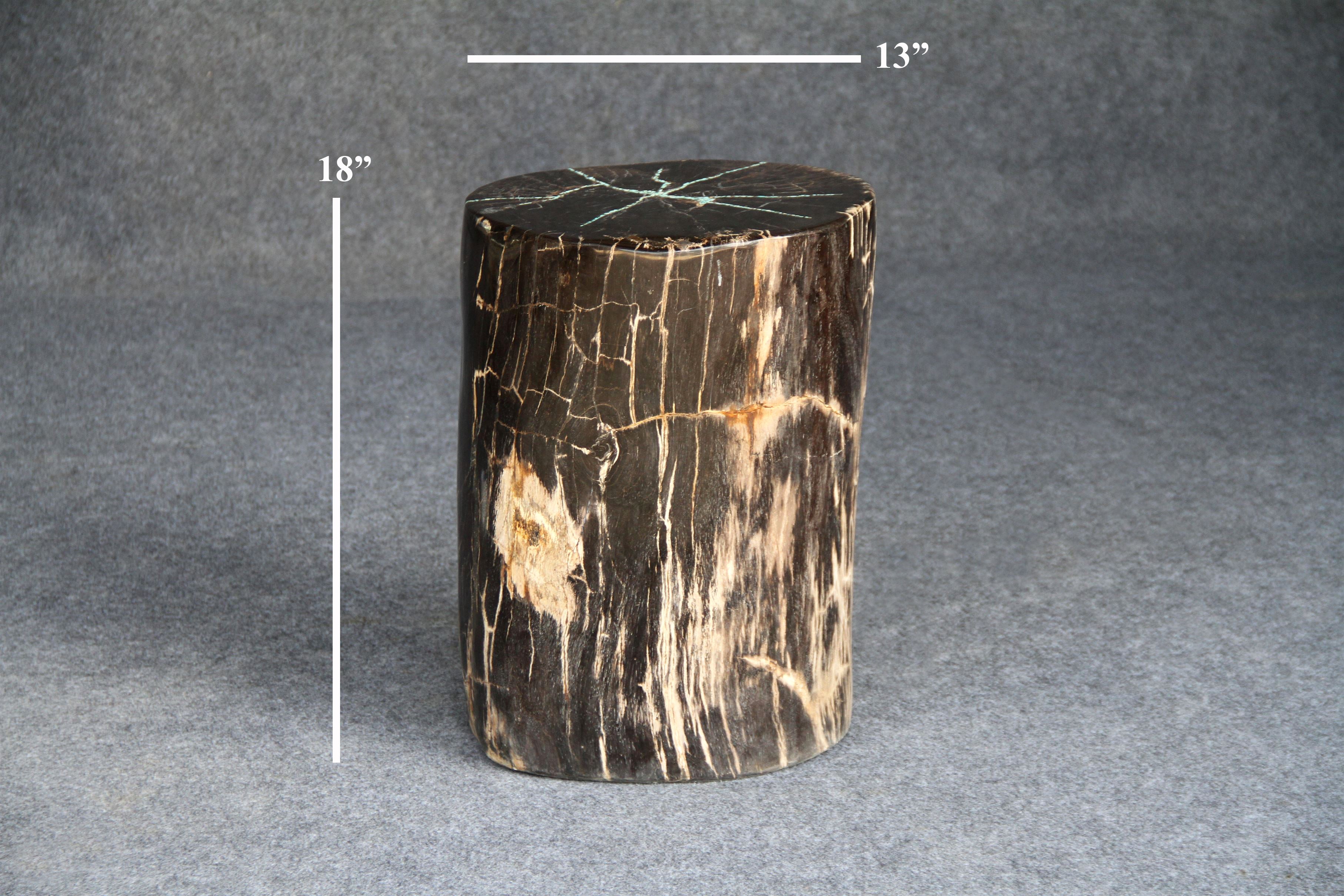 Petrified Wood Round Stump 13" / 161 lbs