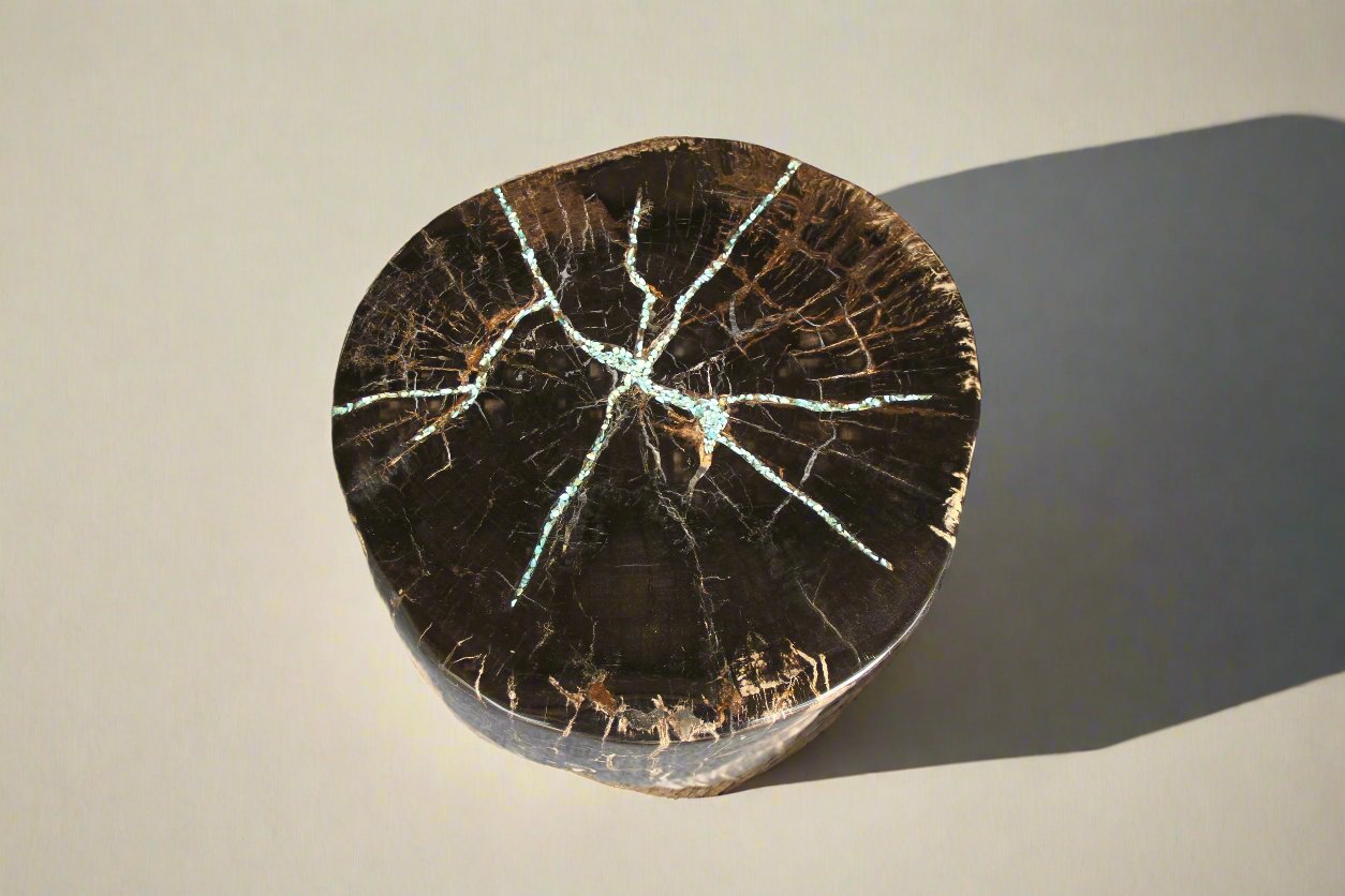 Petrified Wood Round Stump 13" / 161 lbs