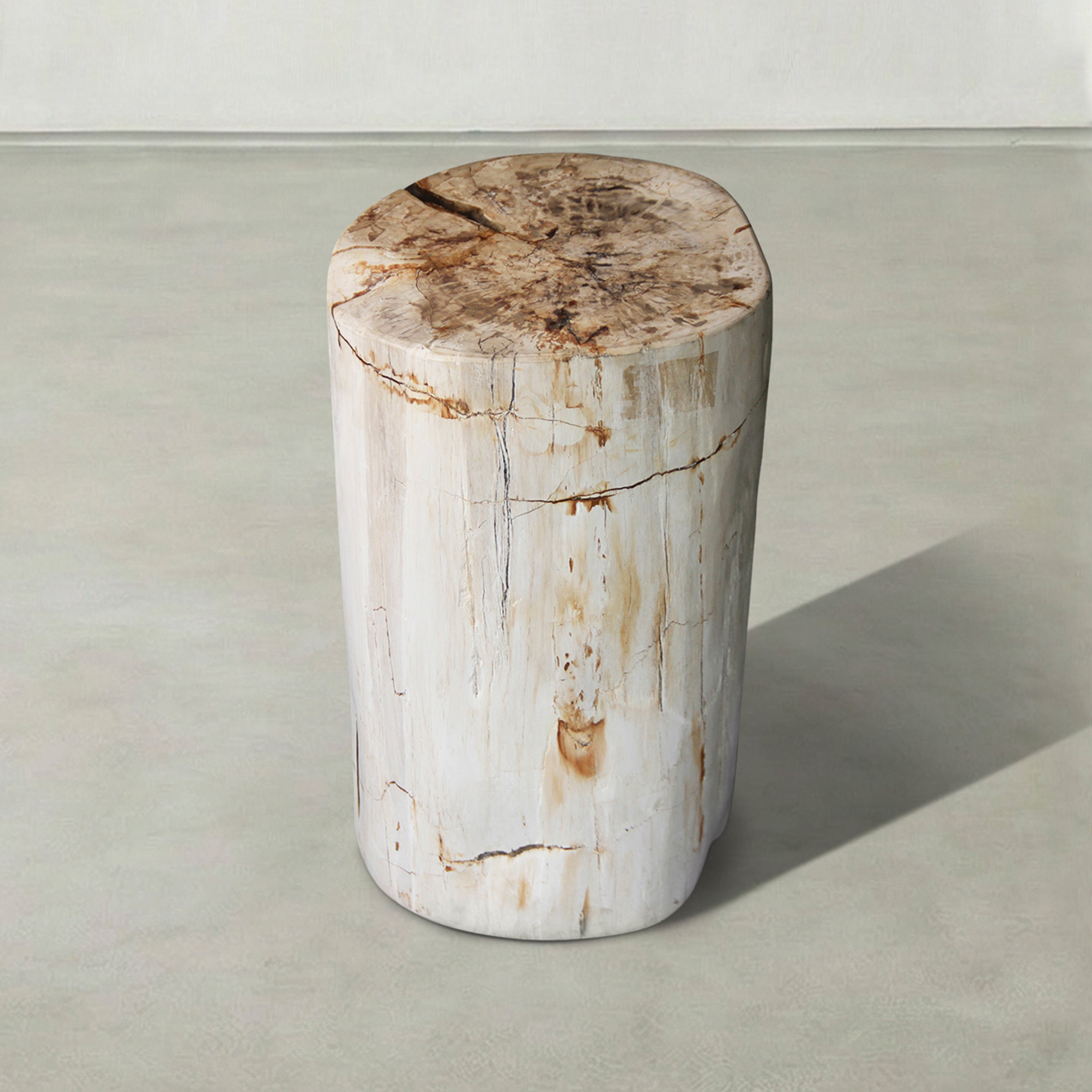 Natural Polished Petrified Wood Stool from Indonesia - 18" / 135 lbs