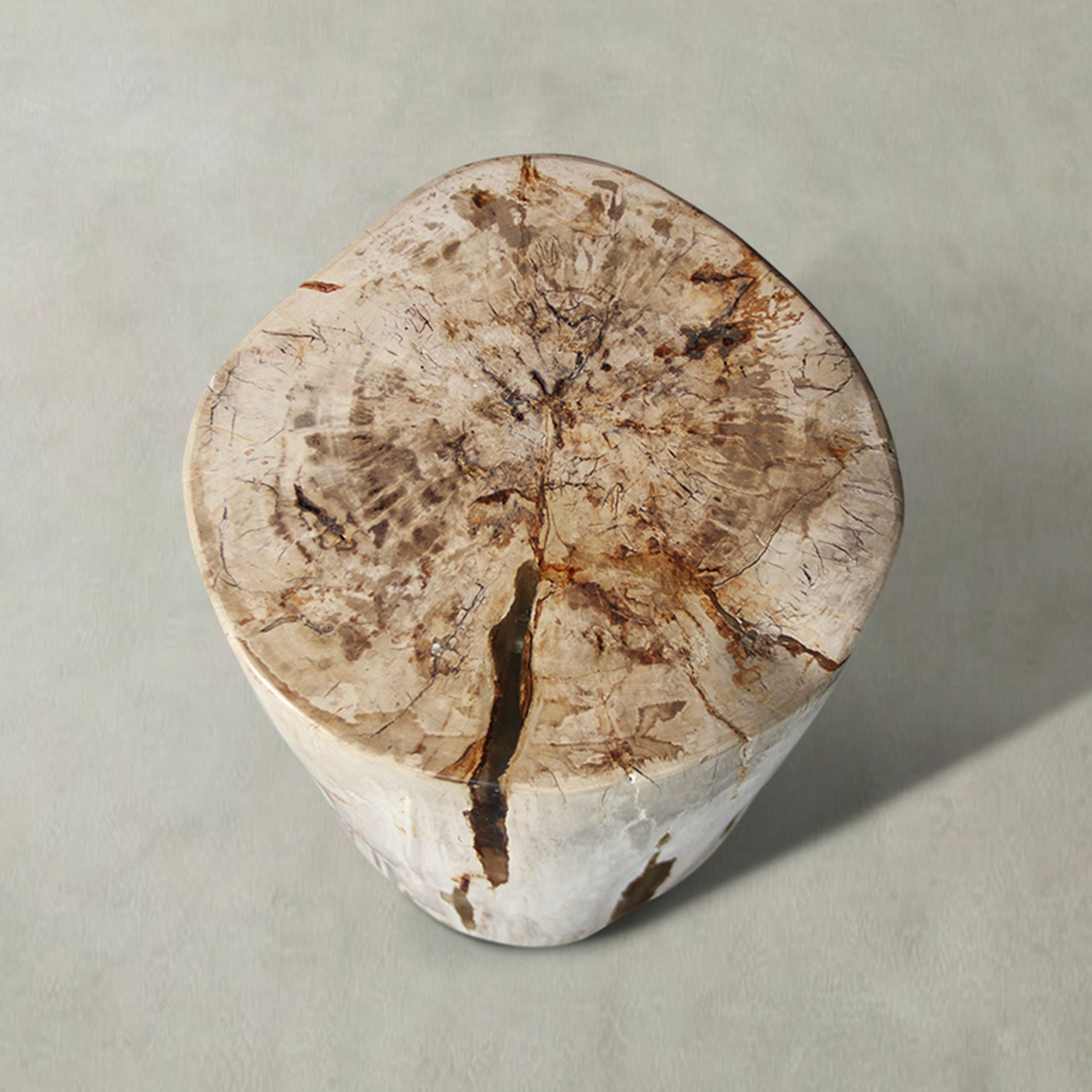 Natural Polished Petrified Wood Stool from Indonesia - 18" / 135 lbs