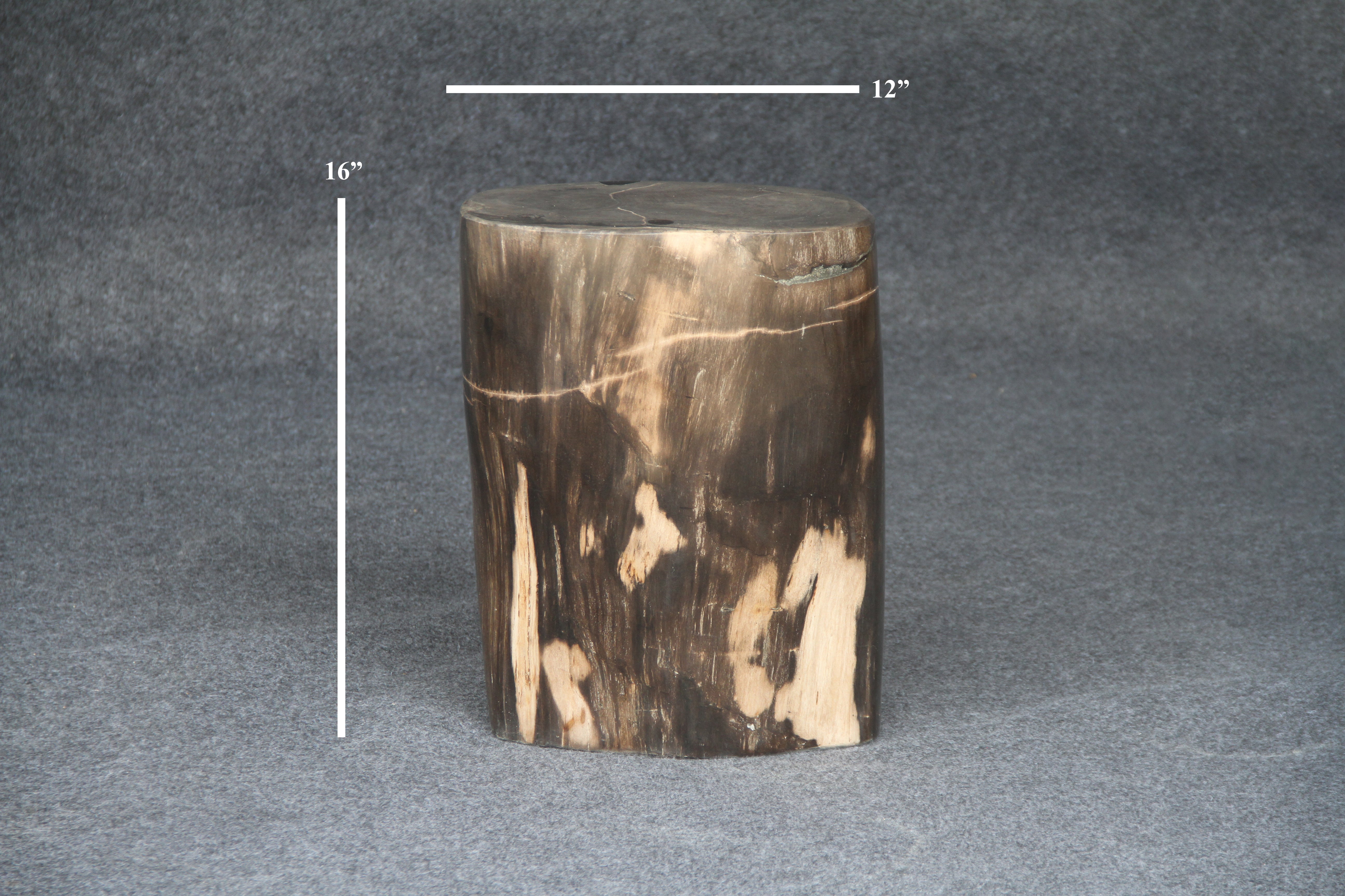 Petrified Wood Round Stump / Stool 16" / 170lbs