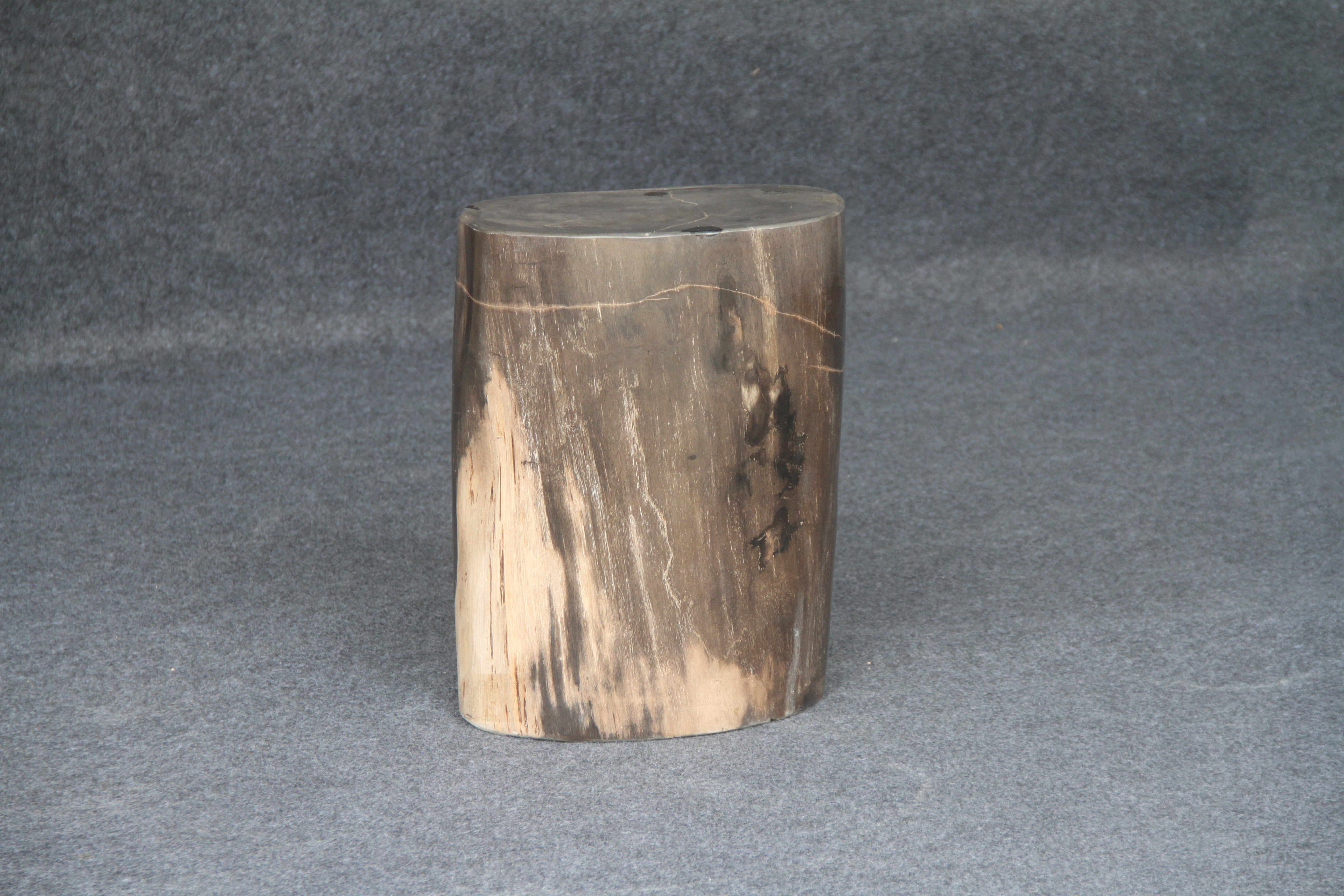 Petrified Wood Round Stump / Stool 16" / 170lbs