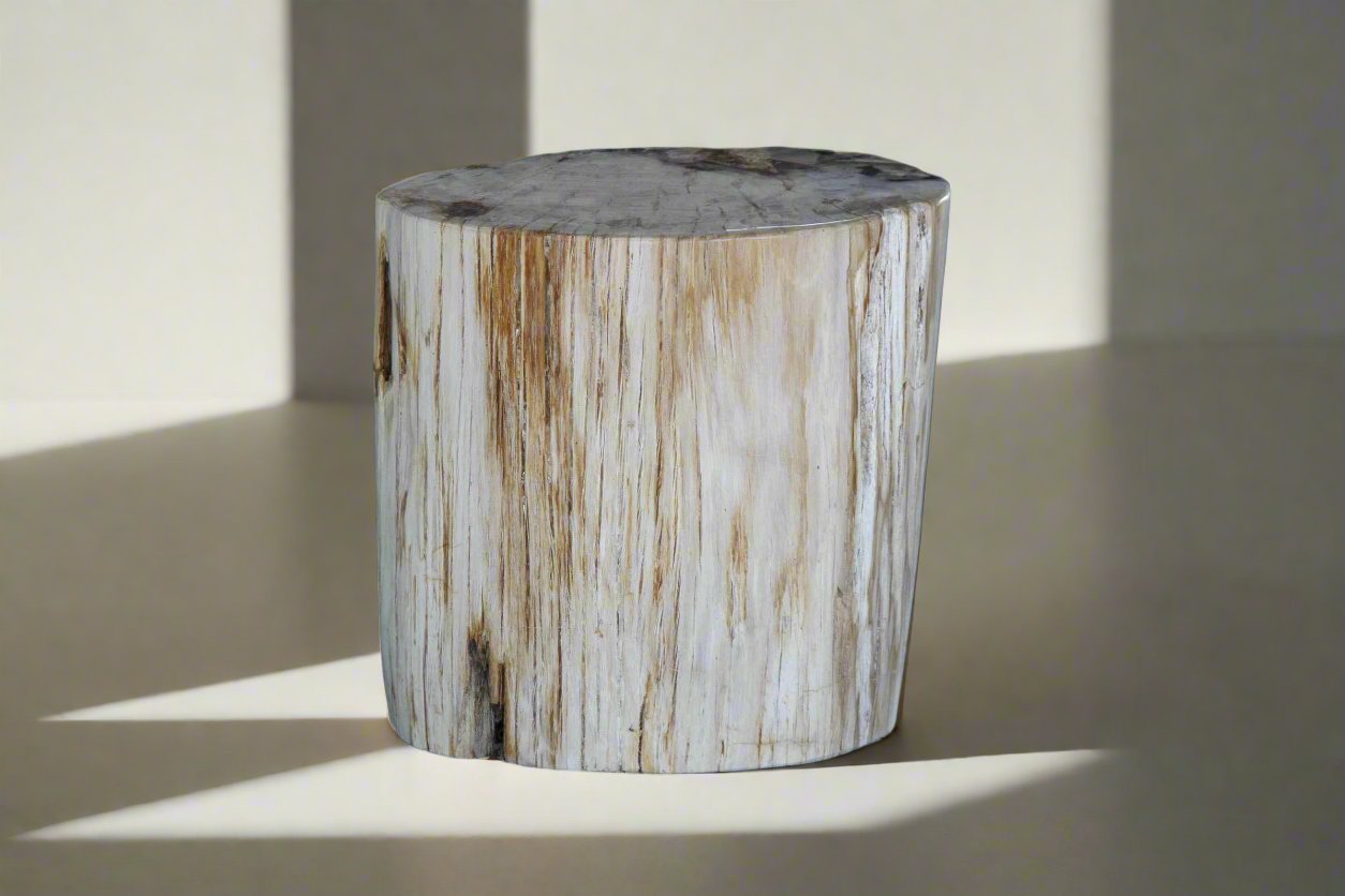 Petrified Wood Round Stump 17" / 196 lbs