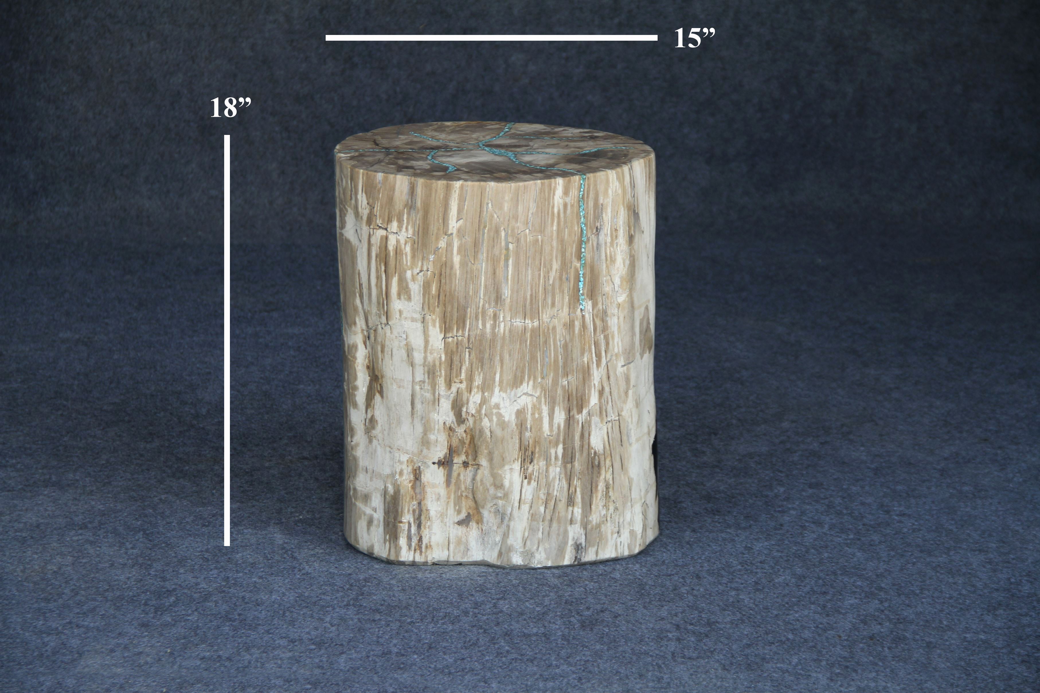 Petrified Wood Round Stump 15" / 213 lbs