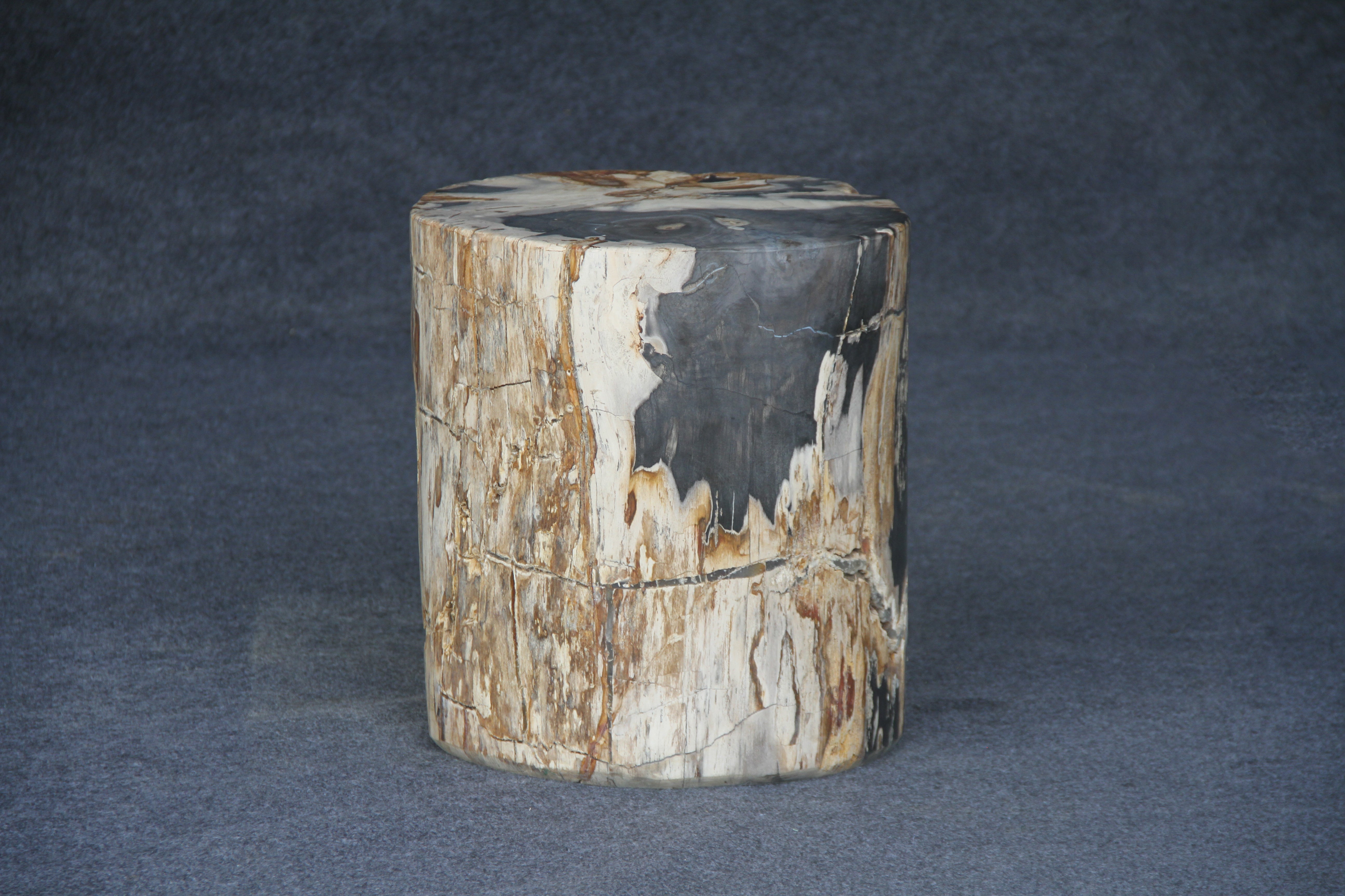 Petrified Wood Round Stump / Stool 16" / 214lbs