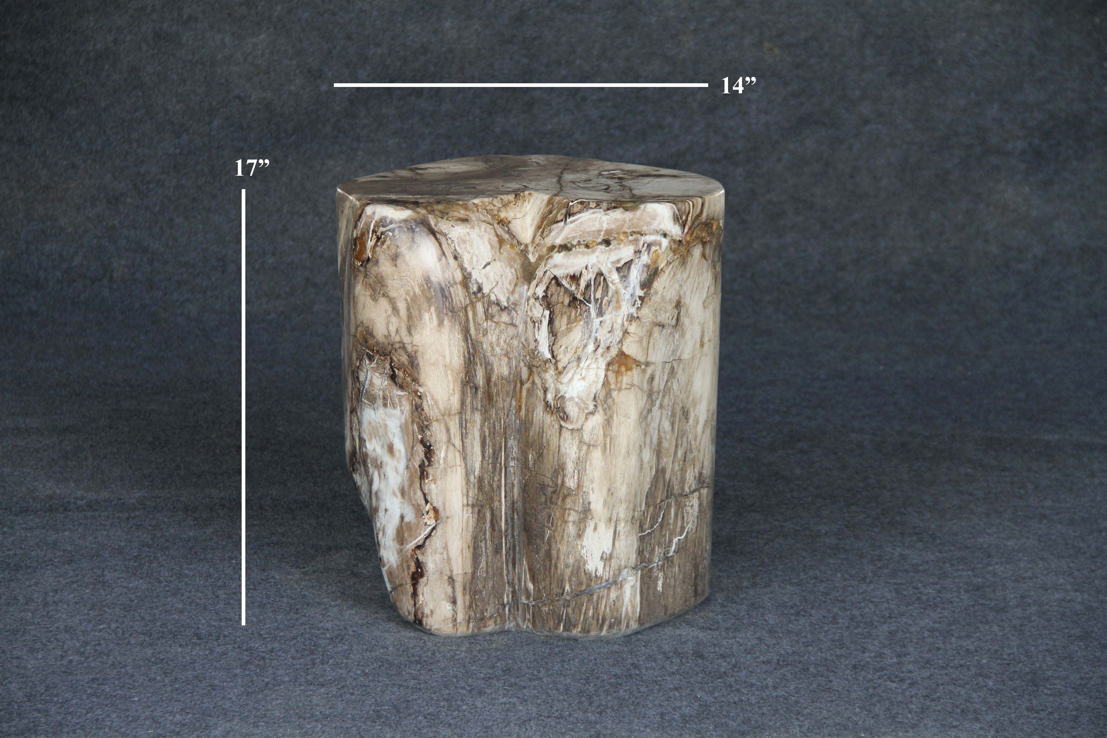 Petrified Wood Round Stump 14" / 220 lbs