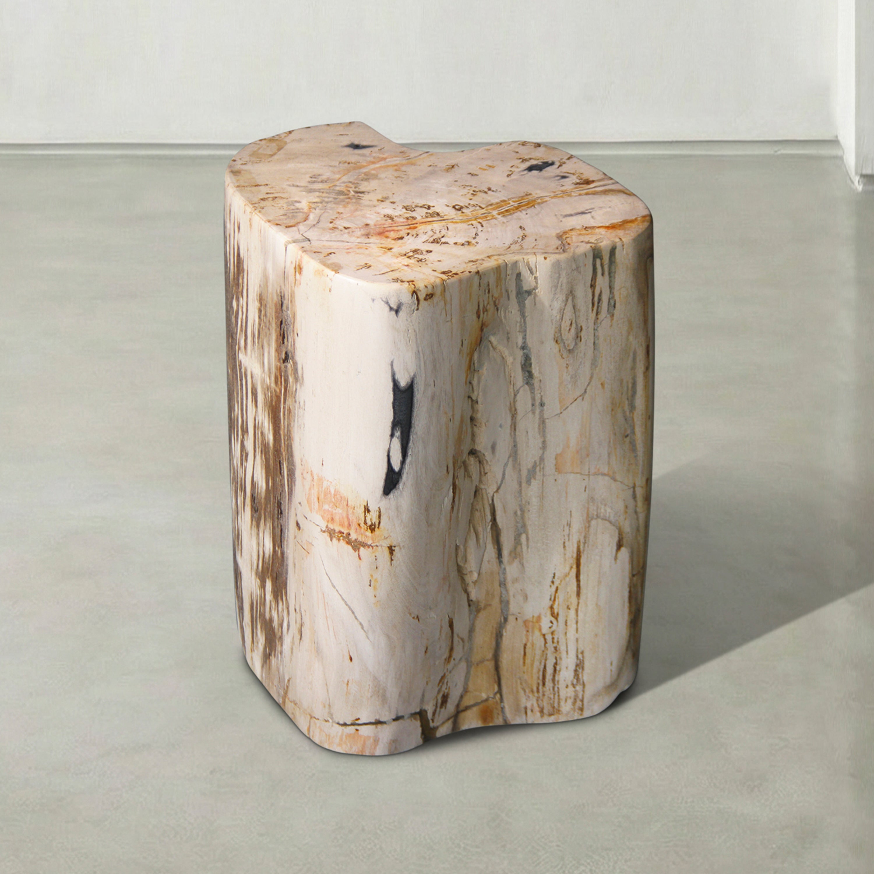 Natural Polished Petrified Wood Stool from Indonesia - 18" / 199 lbs
