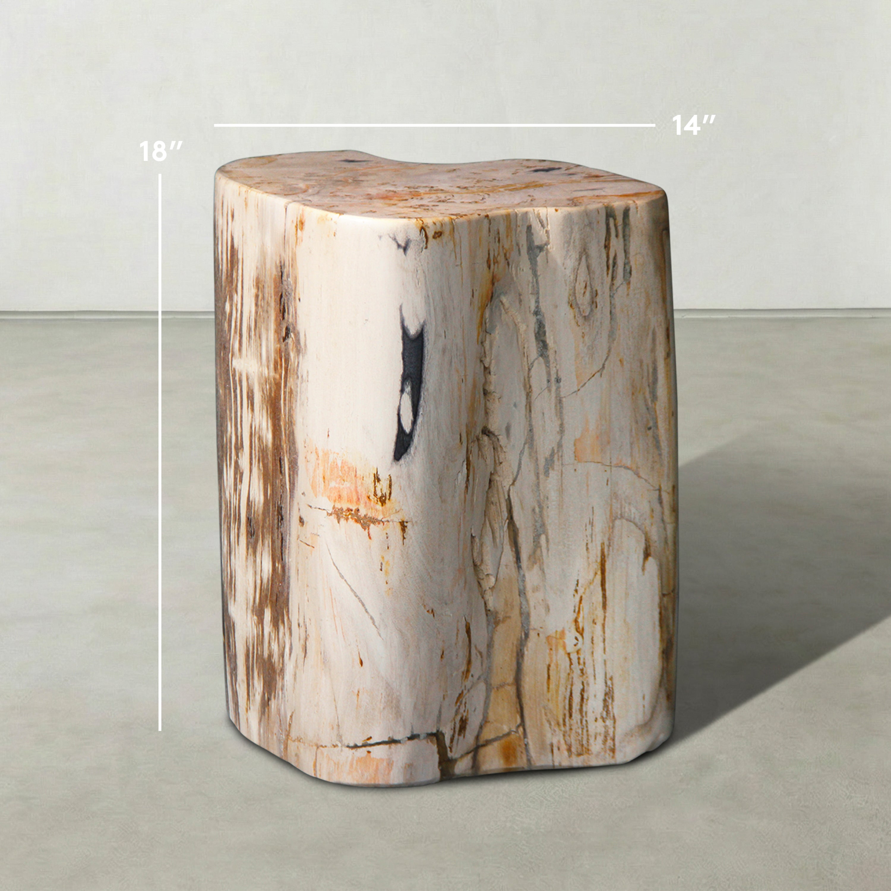Natural Polished Petrified Wood Stool from Indonesia - 18" / 199 lbs