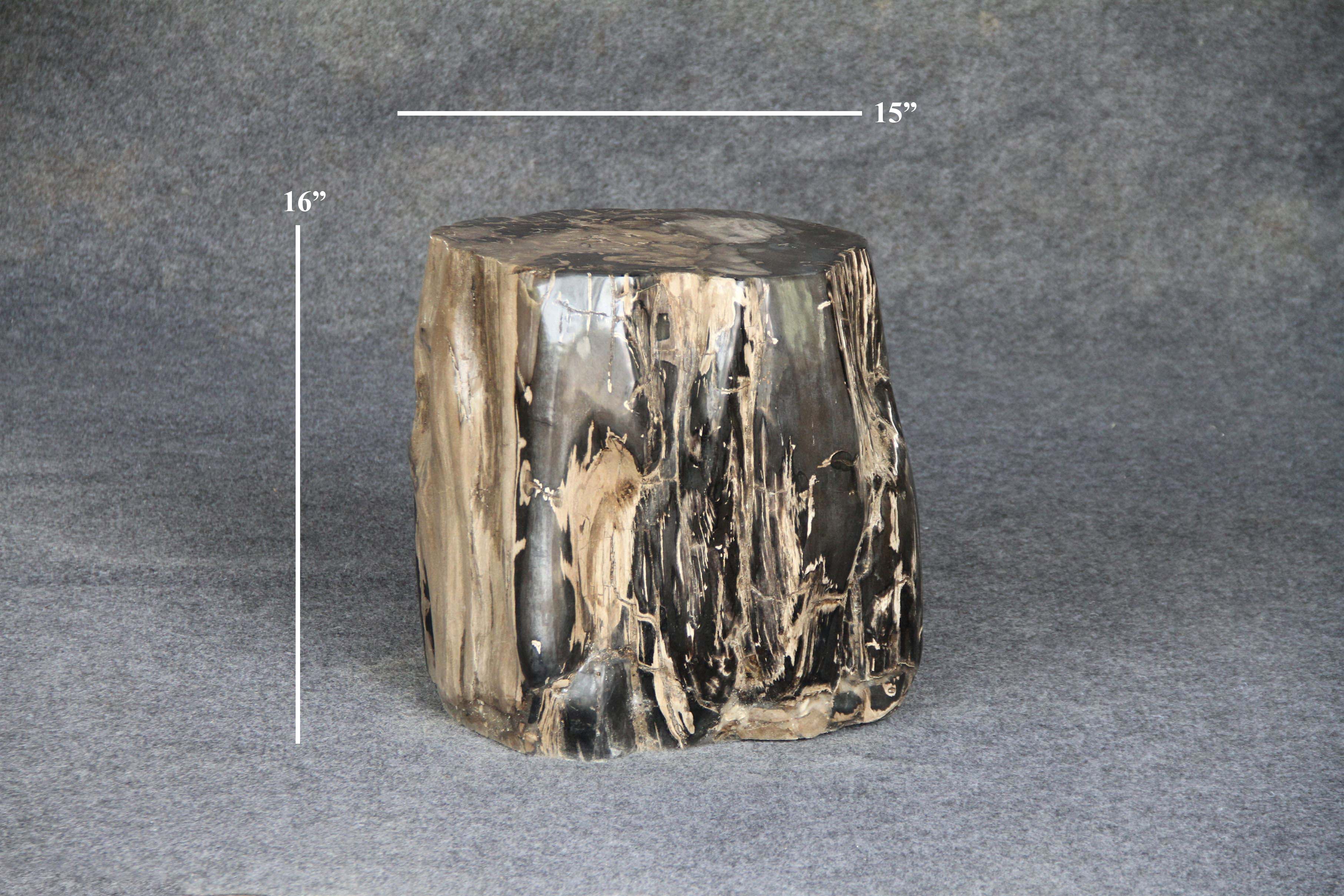 Petrified Wood Round Stump 15" / 231 lbs