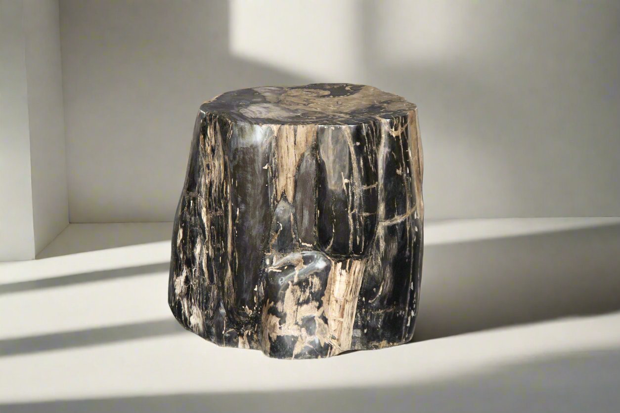 Petrified Wood Round Stump 15" / 231 lbs