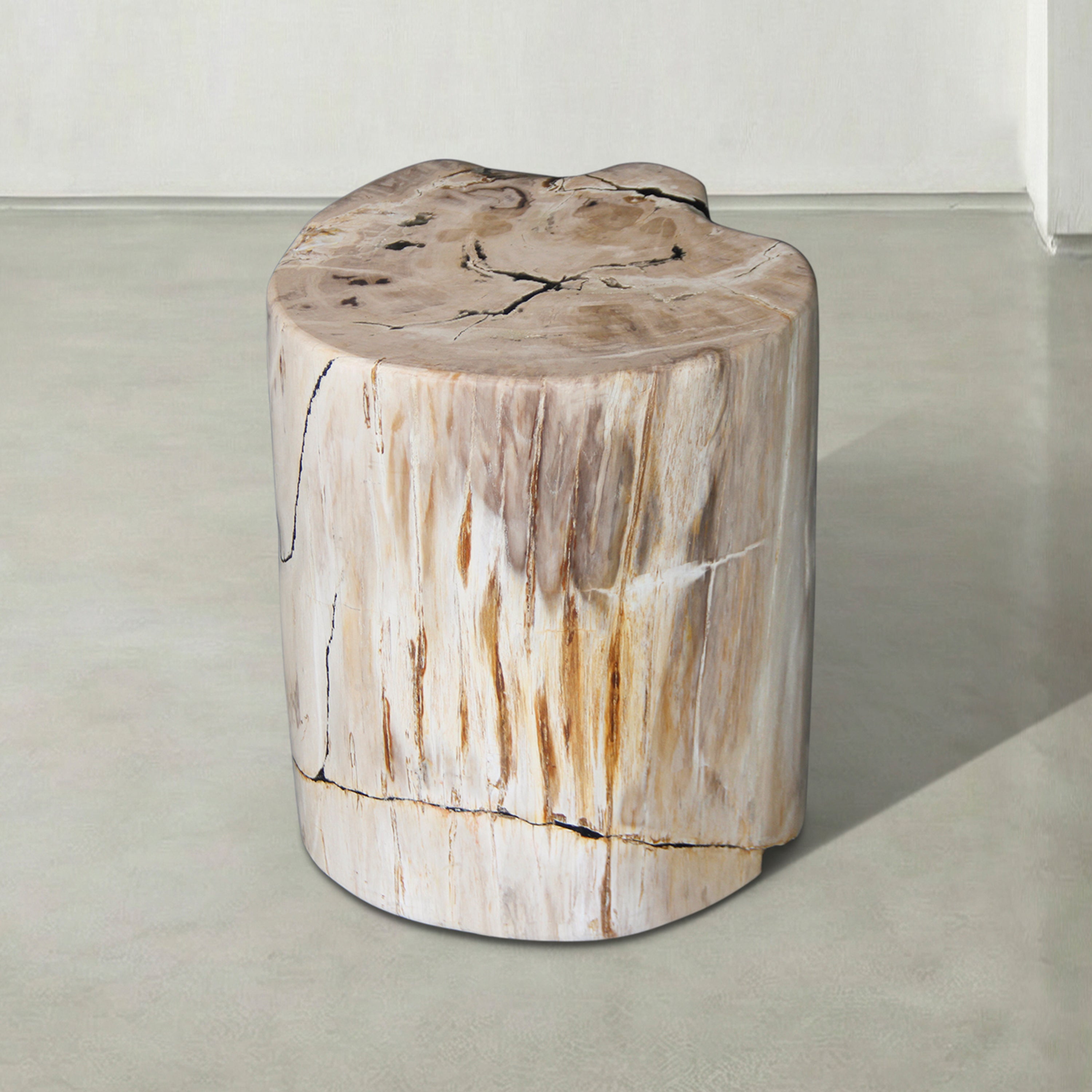 Natural Polished Petrified Wood Stool from Indonesia - 18" / 274 lbs