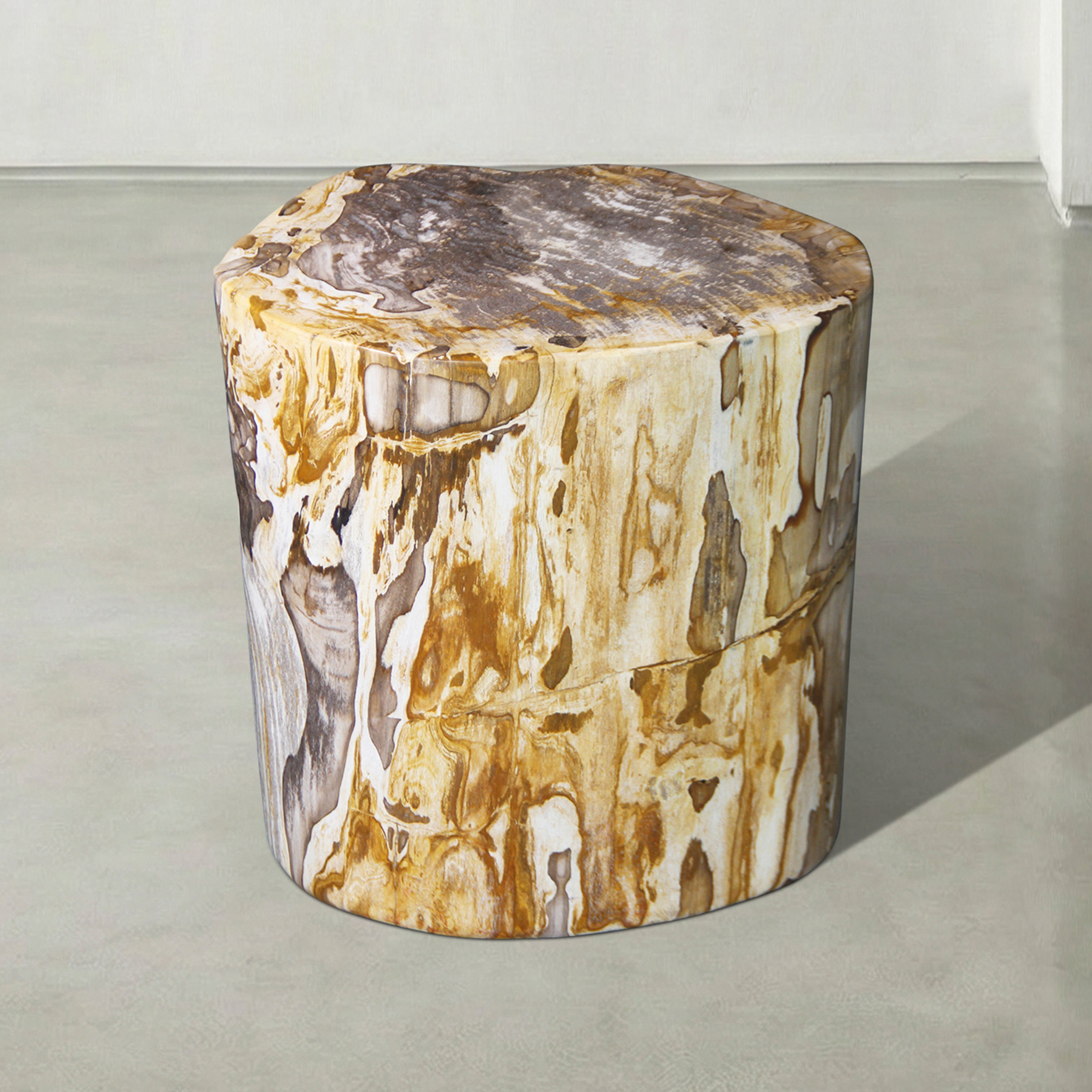 Natural Polished Petrified Wood Stool from Indonesia - 18" / 274 lbs