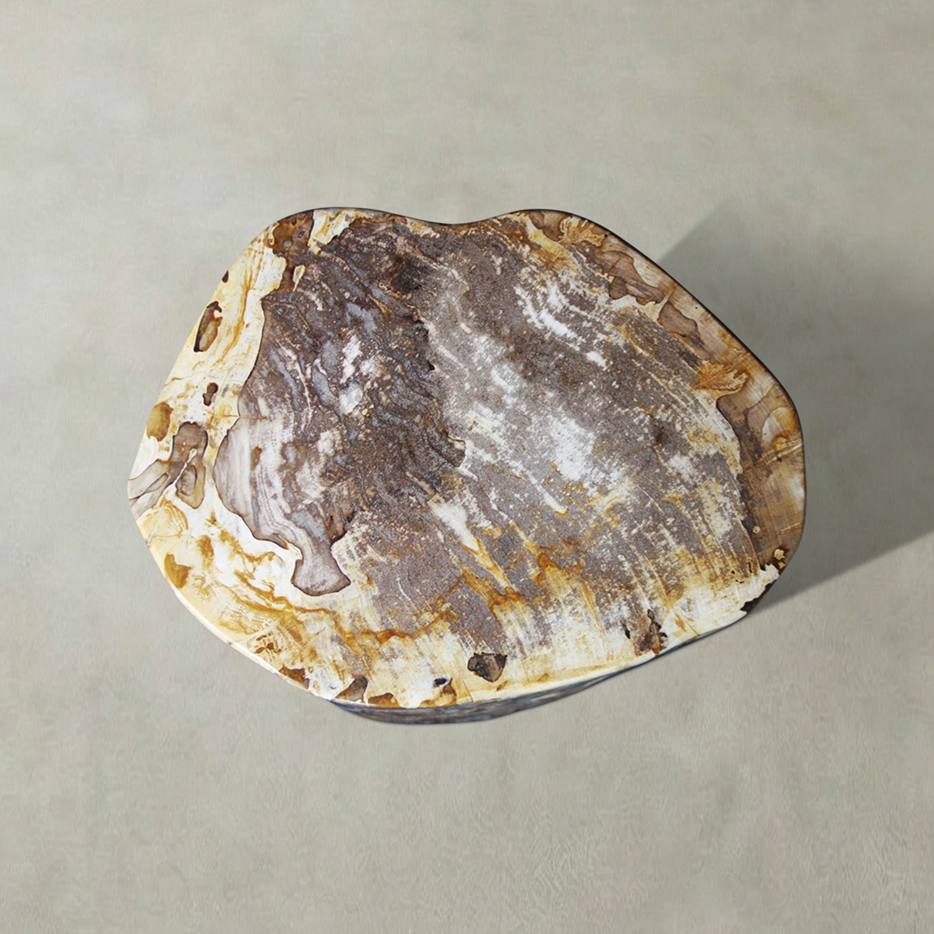Natural Polished Petrified Wood Stool from Indonesia - 18" / 274 lbs