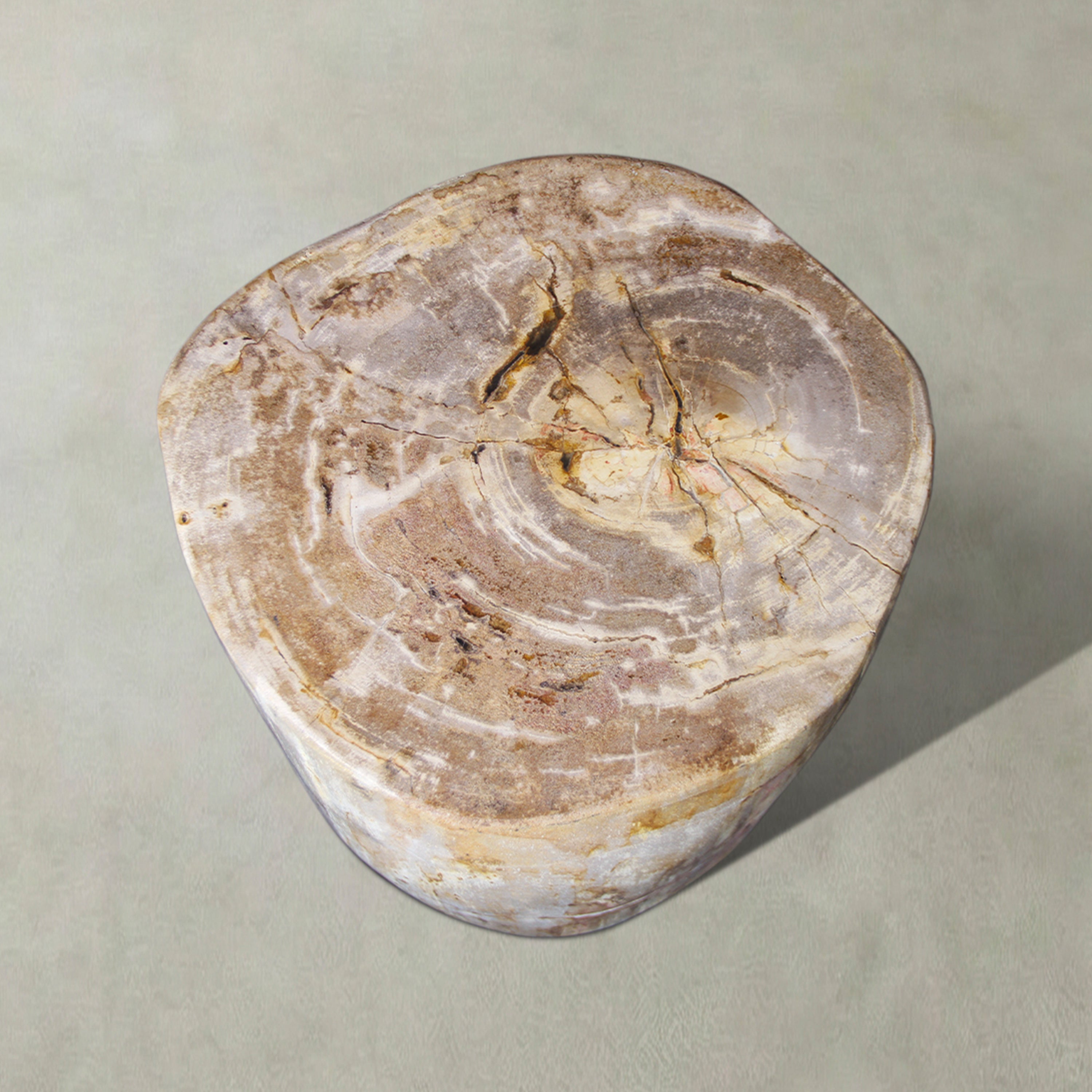 Natural Polished Petrified Wood Stool from Indonesia - 18" / 311 lbs