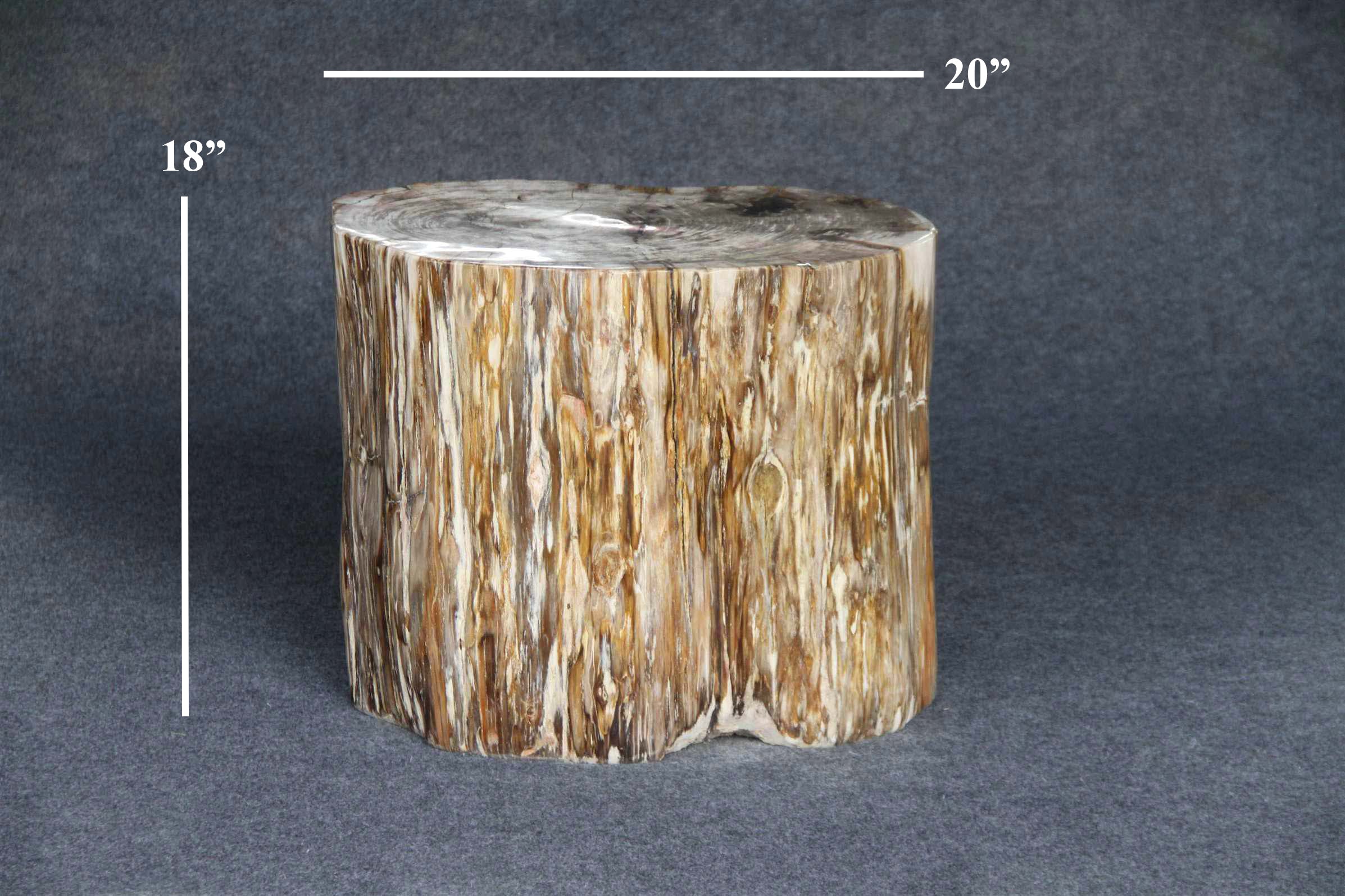 Petrified Wood Round Stump 20" / 416 lbs