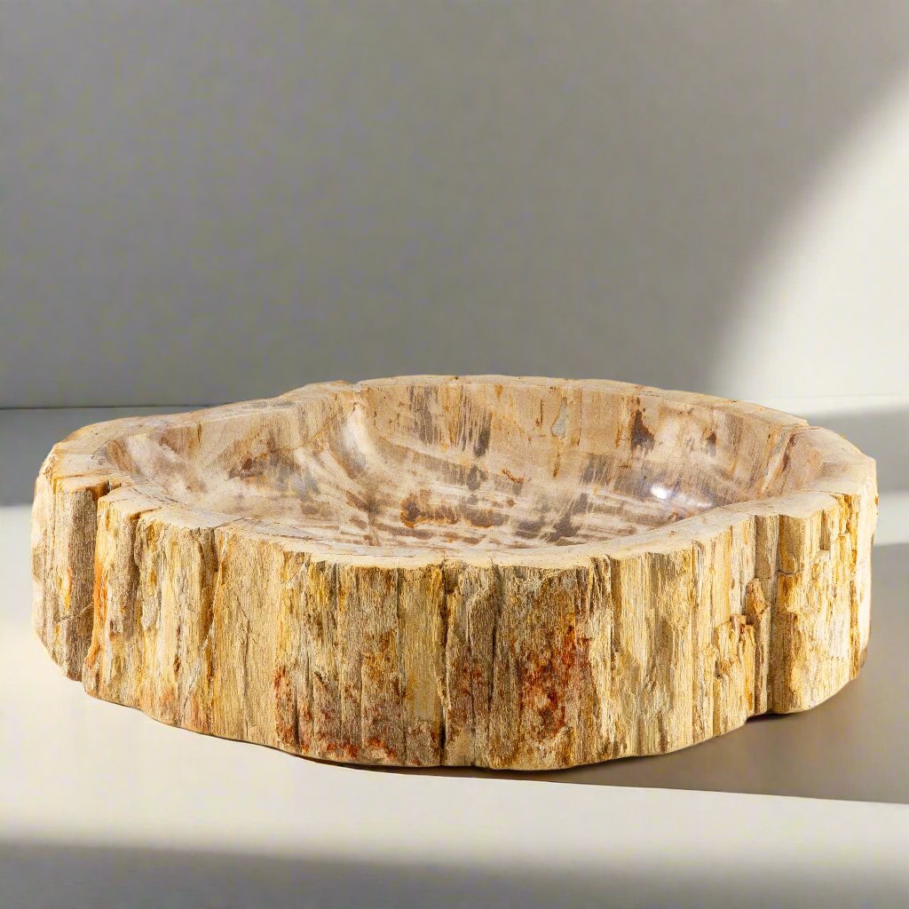 22" Brown Petrified Wood Sink Bowl