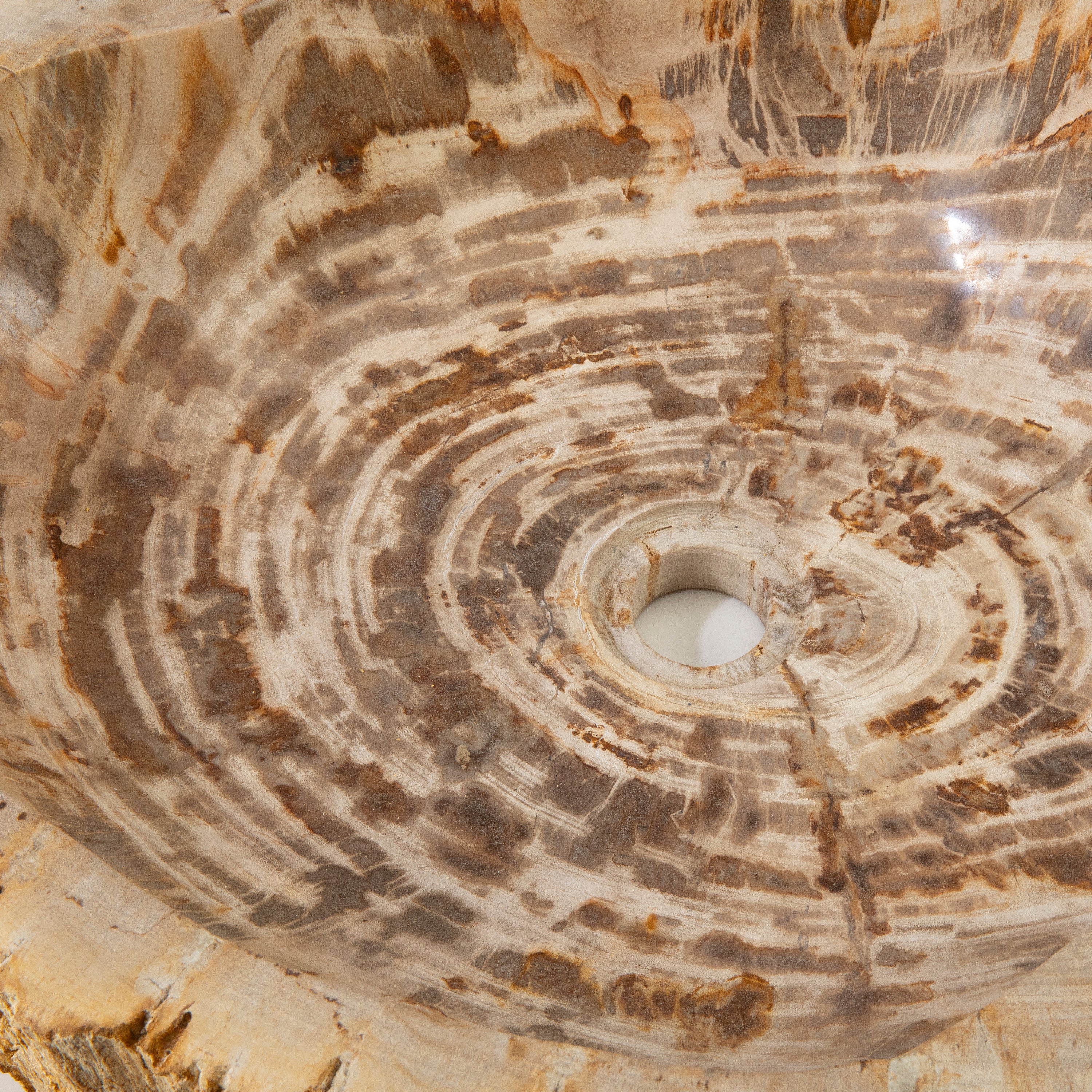 22" Brown Petrified Wood Sink Bowl